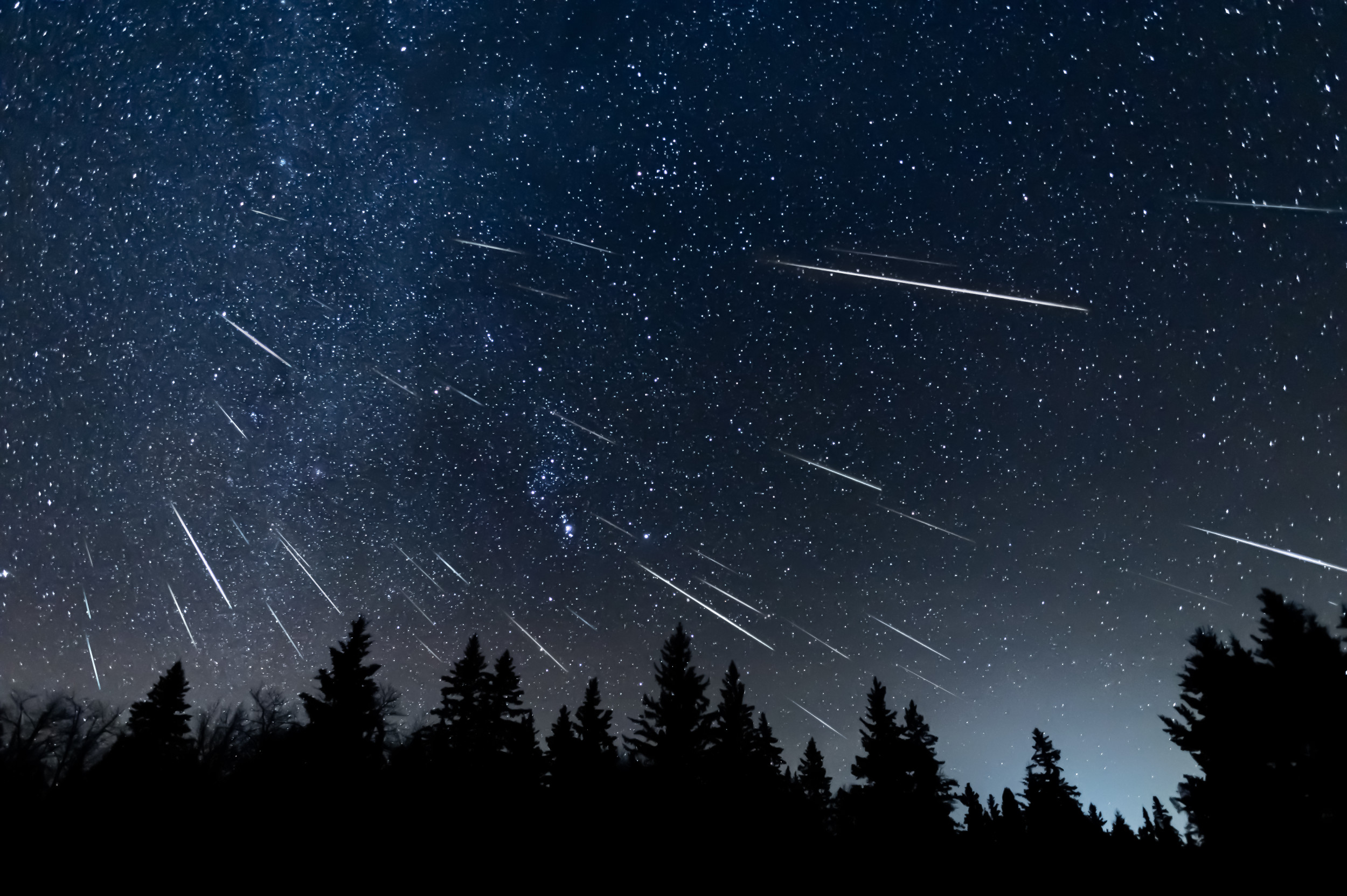 Upcoming Alpha Capricornids Meteor Shower Will Illuminate the Night Sky – Tips for Watching