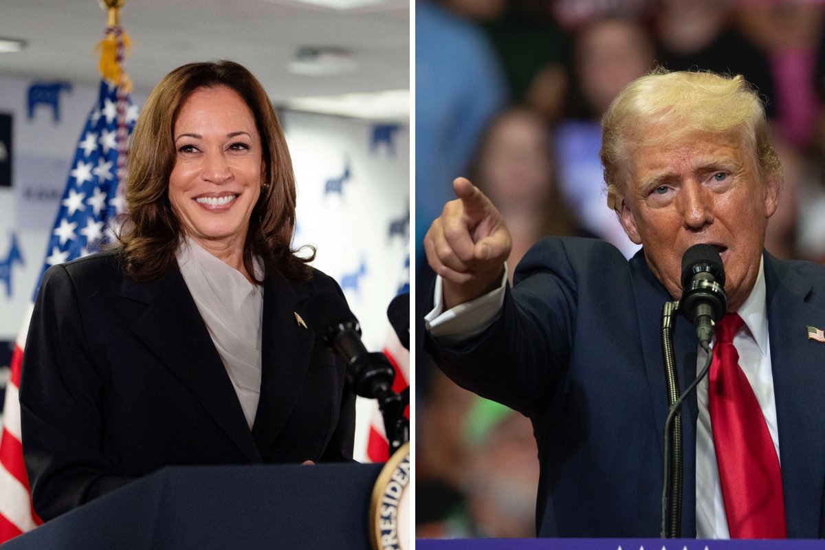 Kamala Harris Terrifies Donald Trump Mary Trump