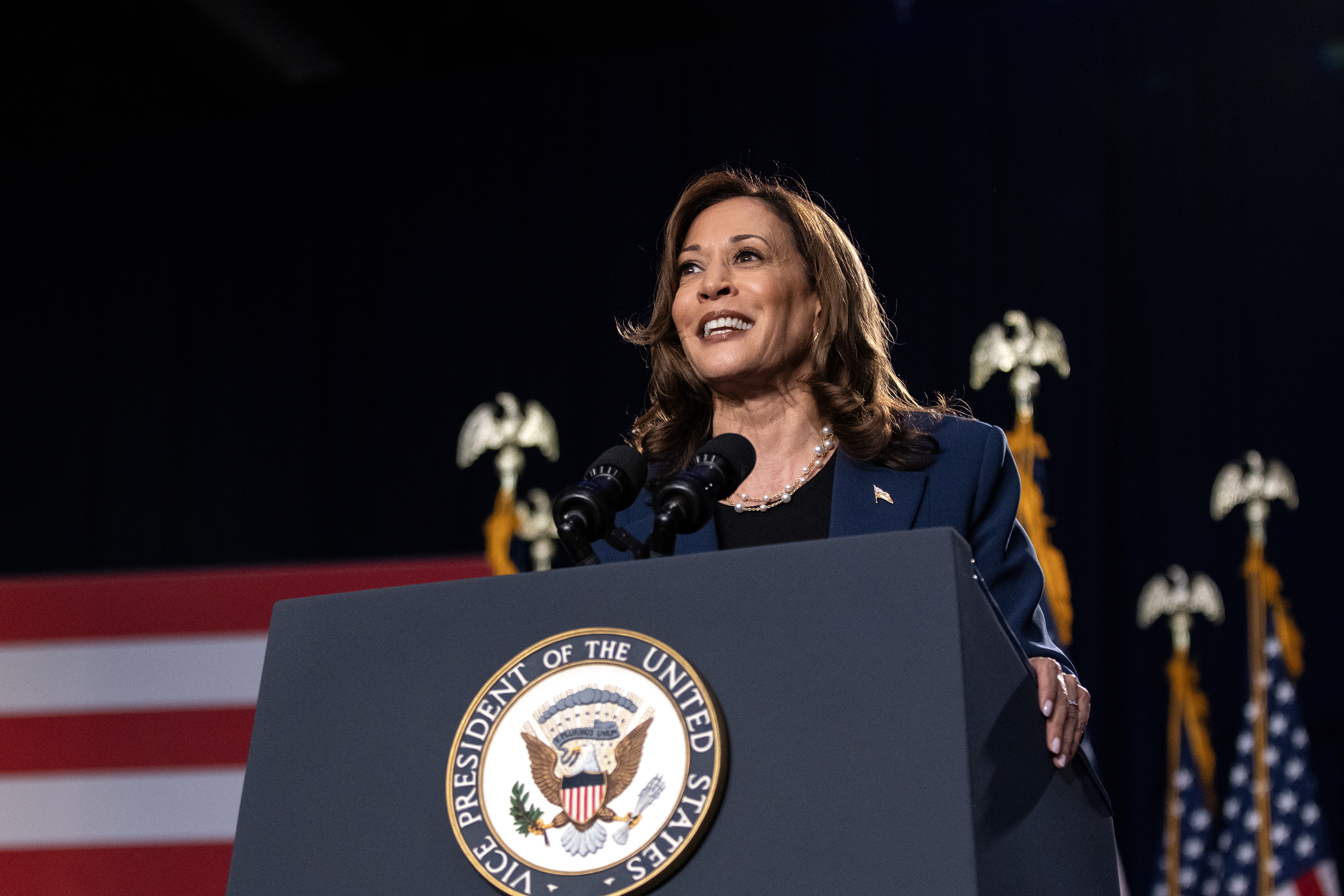 Kamala Harris 'Spoke With' Running Mate Contender Right After Biden Quit