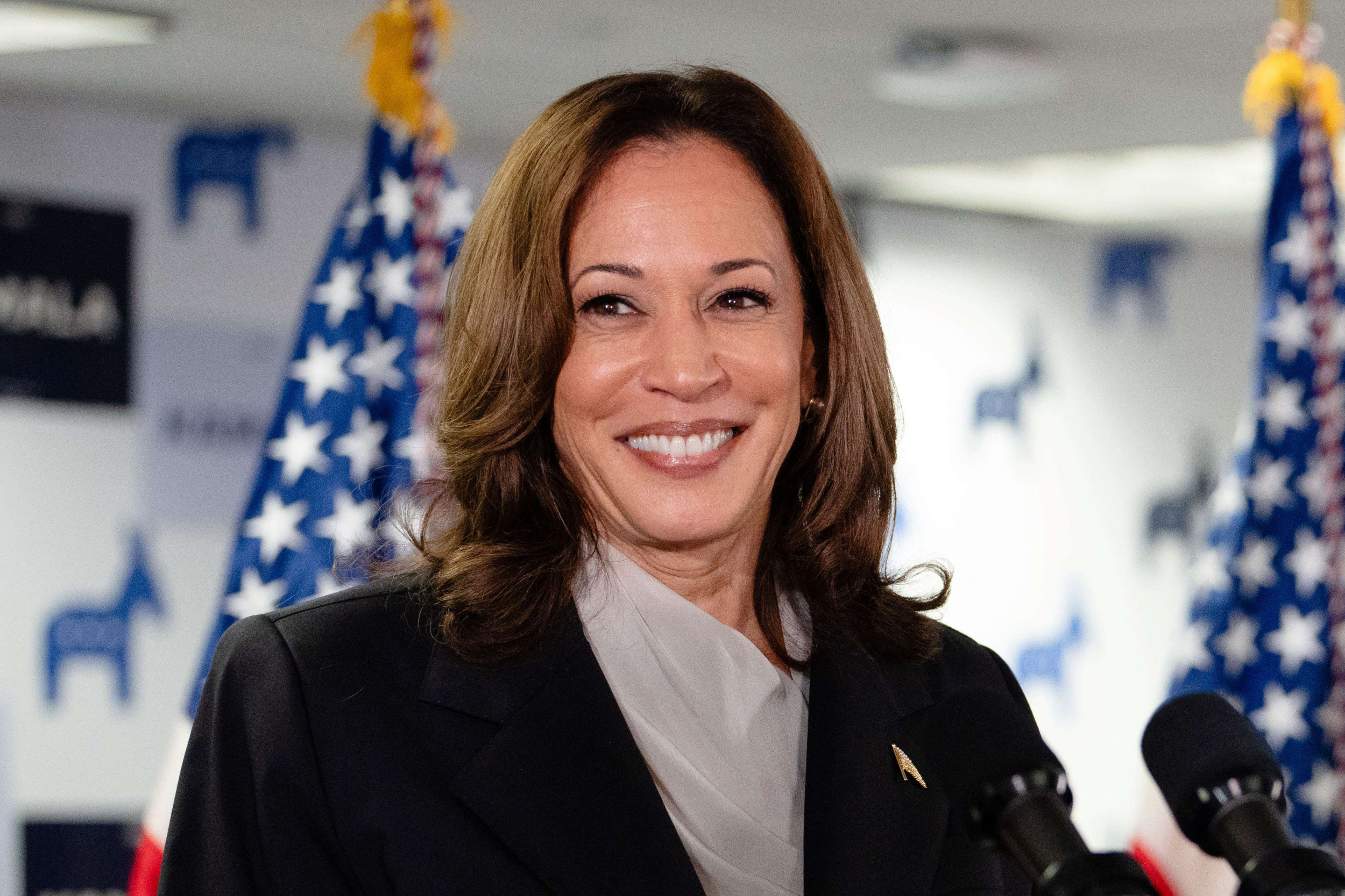 Kamala Harris Has a Charisma Problem: Poll
