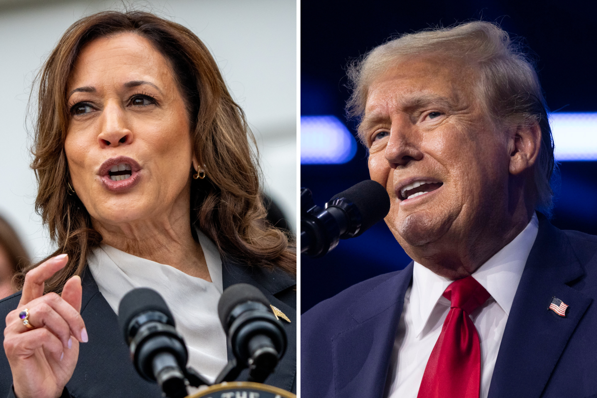 Presidential Polls 2024 Harris Vs Trump Tonya Ferdinanda