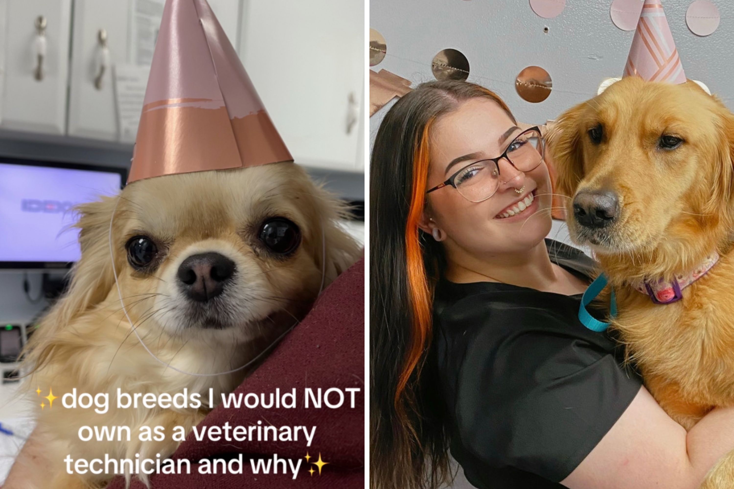 The Dog Breeds a Vet Tech Would Never Own, and Why