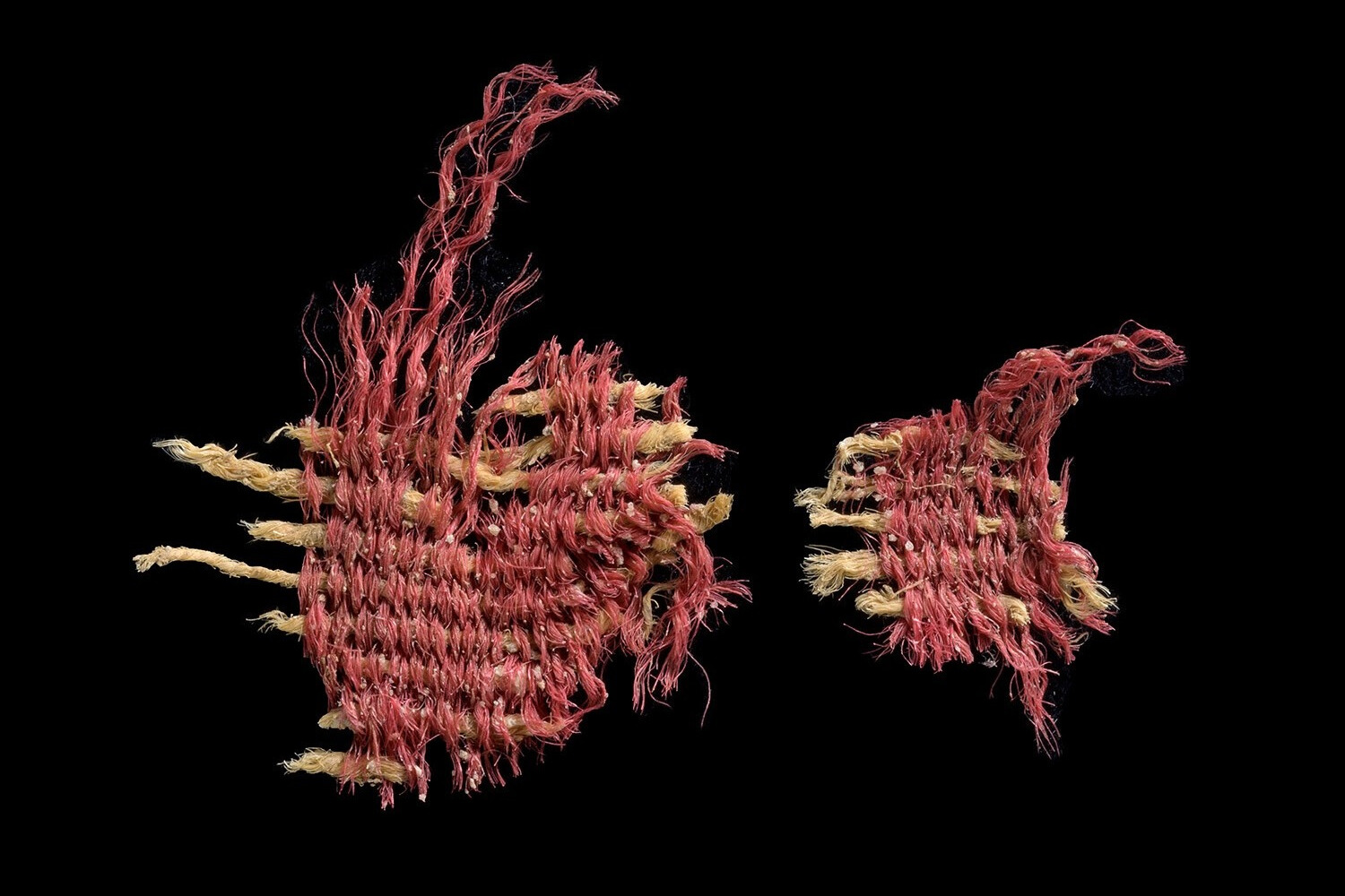 The Fascinating Discovery of Precious Red Insect Dye on Ancient Textiles Found in Cave of Skulls