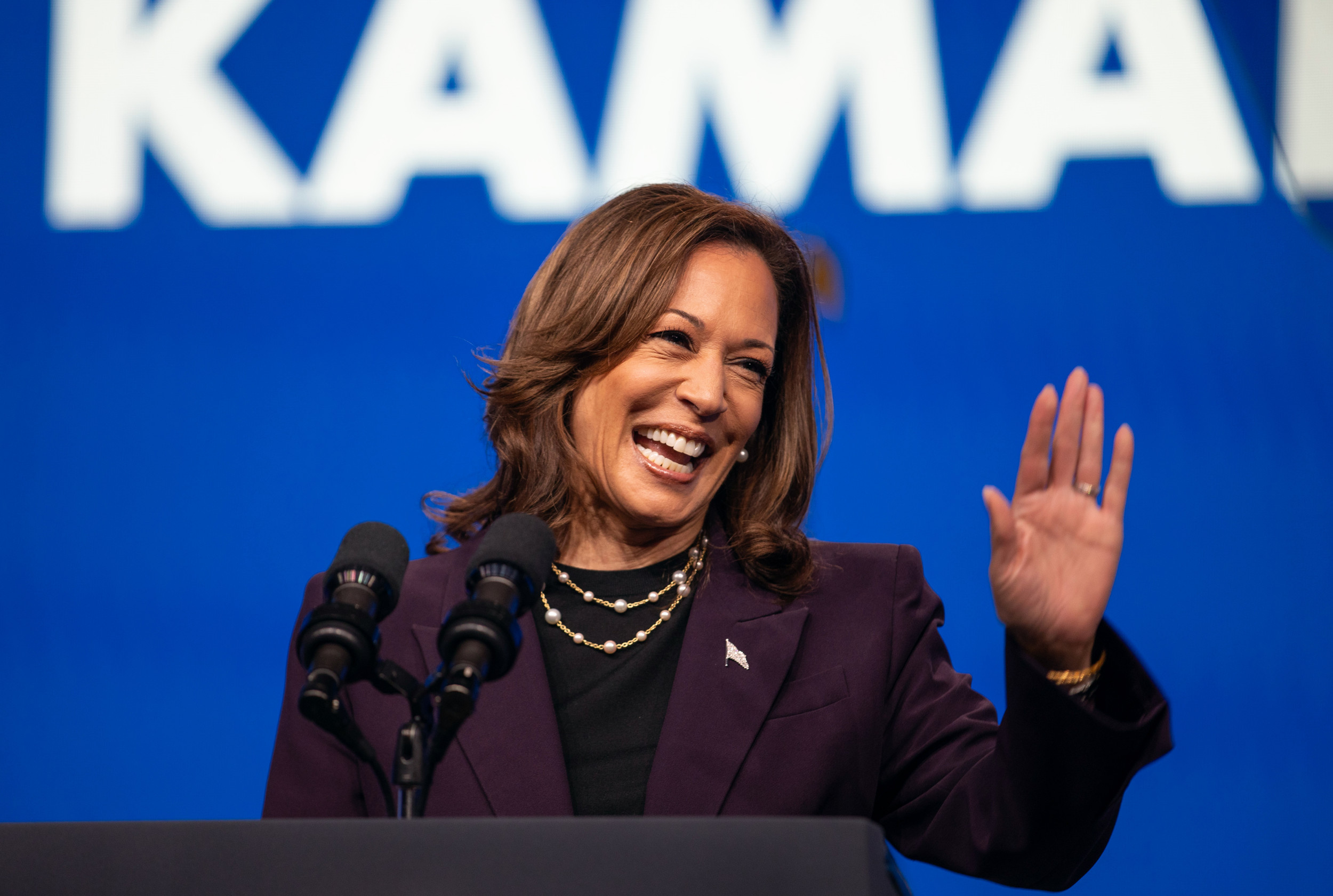 Kamala Harris Gets New Positive Sign Poll Shows Newsweek