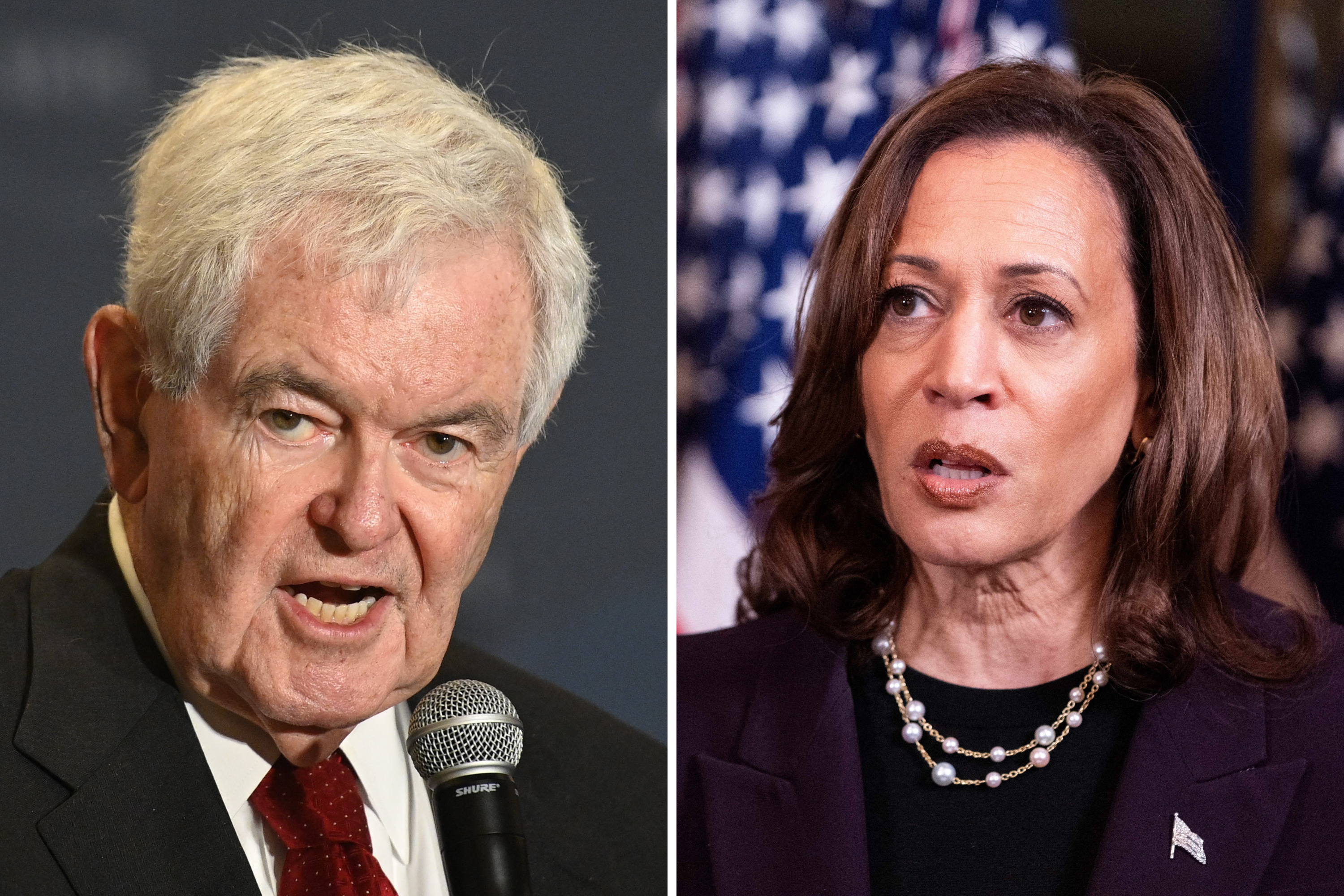 Kamala Harris May Be ‘Shockingly Better’ Than Expected, Newt Gingrich Says