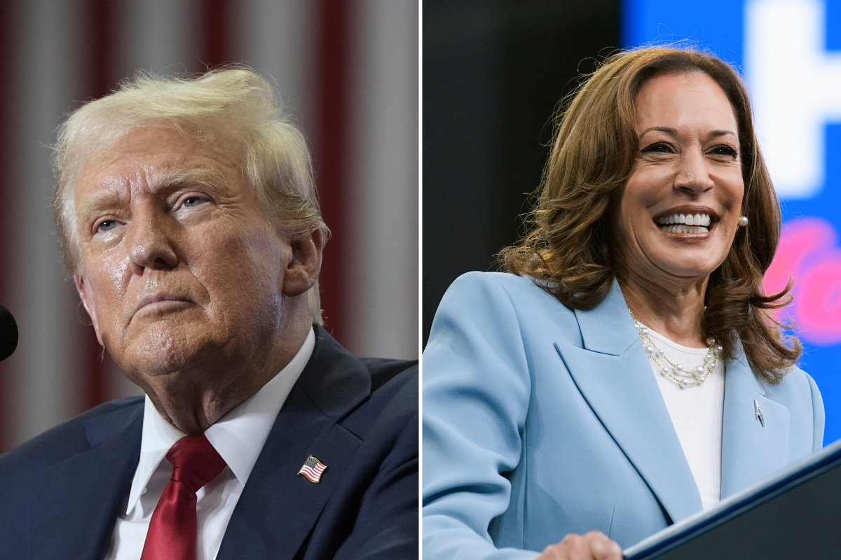 Kamala Harris Vs Donald Trump: Nate Silver Issues Polling Update - Newsweek