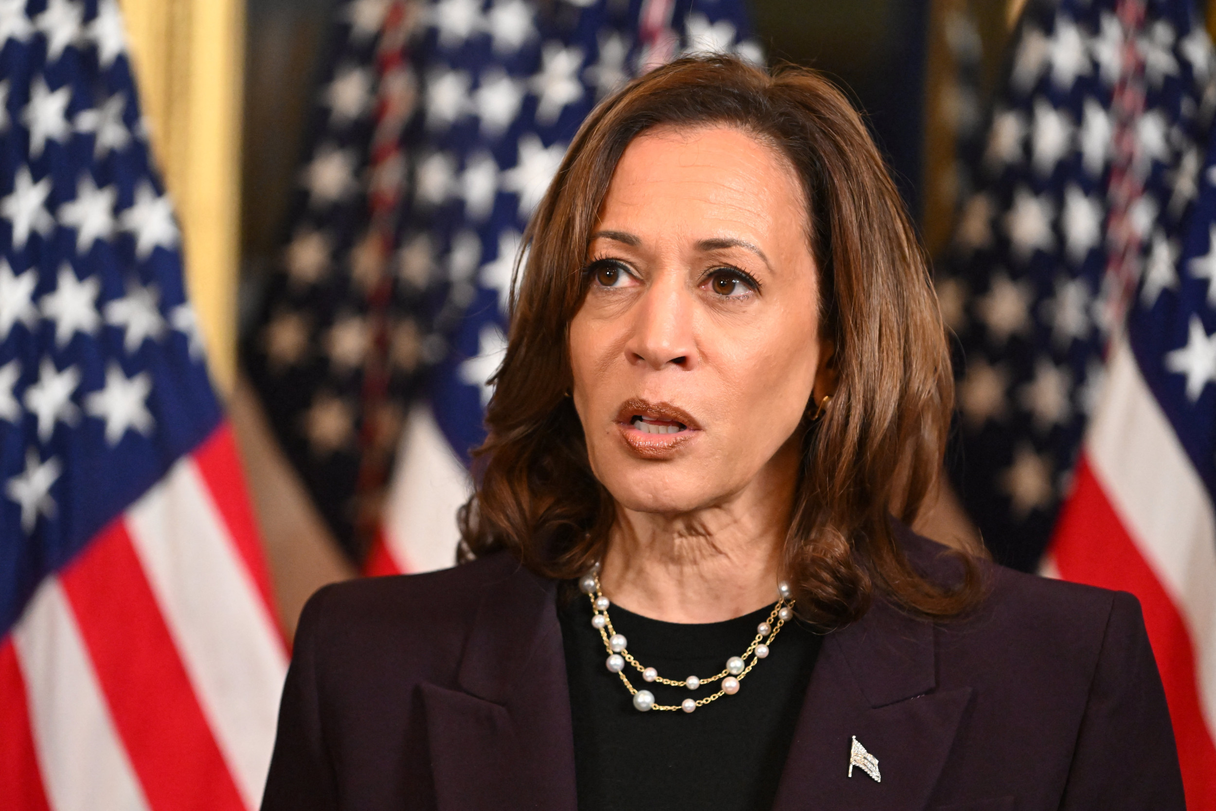 What Kamala Harris Has Said About Her Own Identity - Newsweek