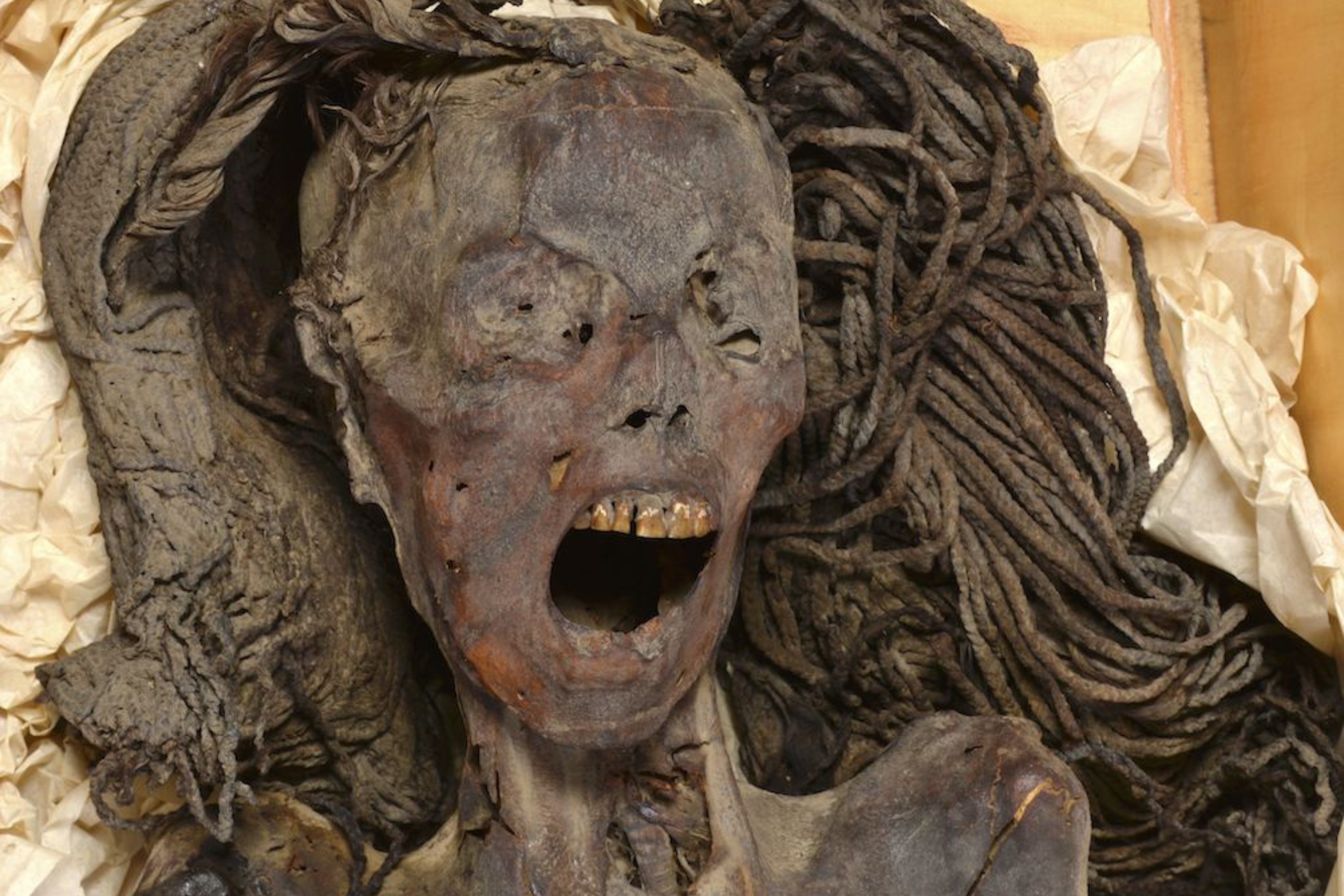 Unveiling the Chilling Mystery of Egypt’s ‘Screaming Woman’ Mummy