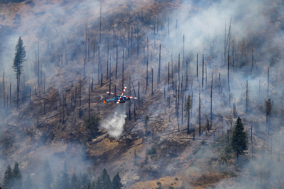Park Fire Fighting