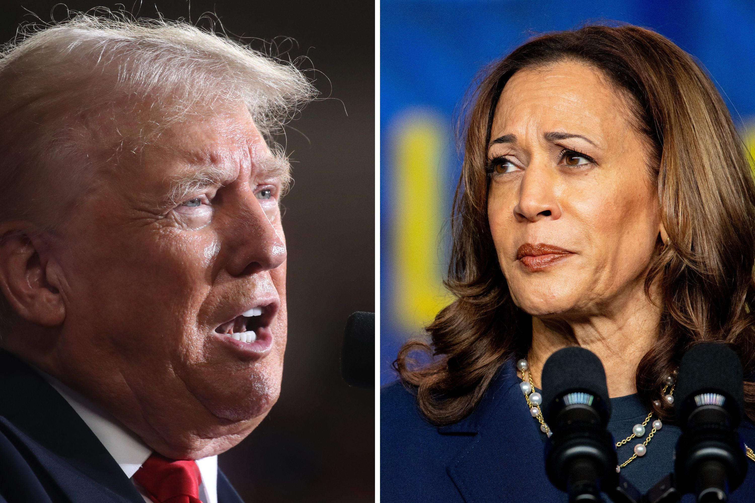 Kamala Harris Mocks Donald Trump for 'Running Scared' Over Debate