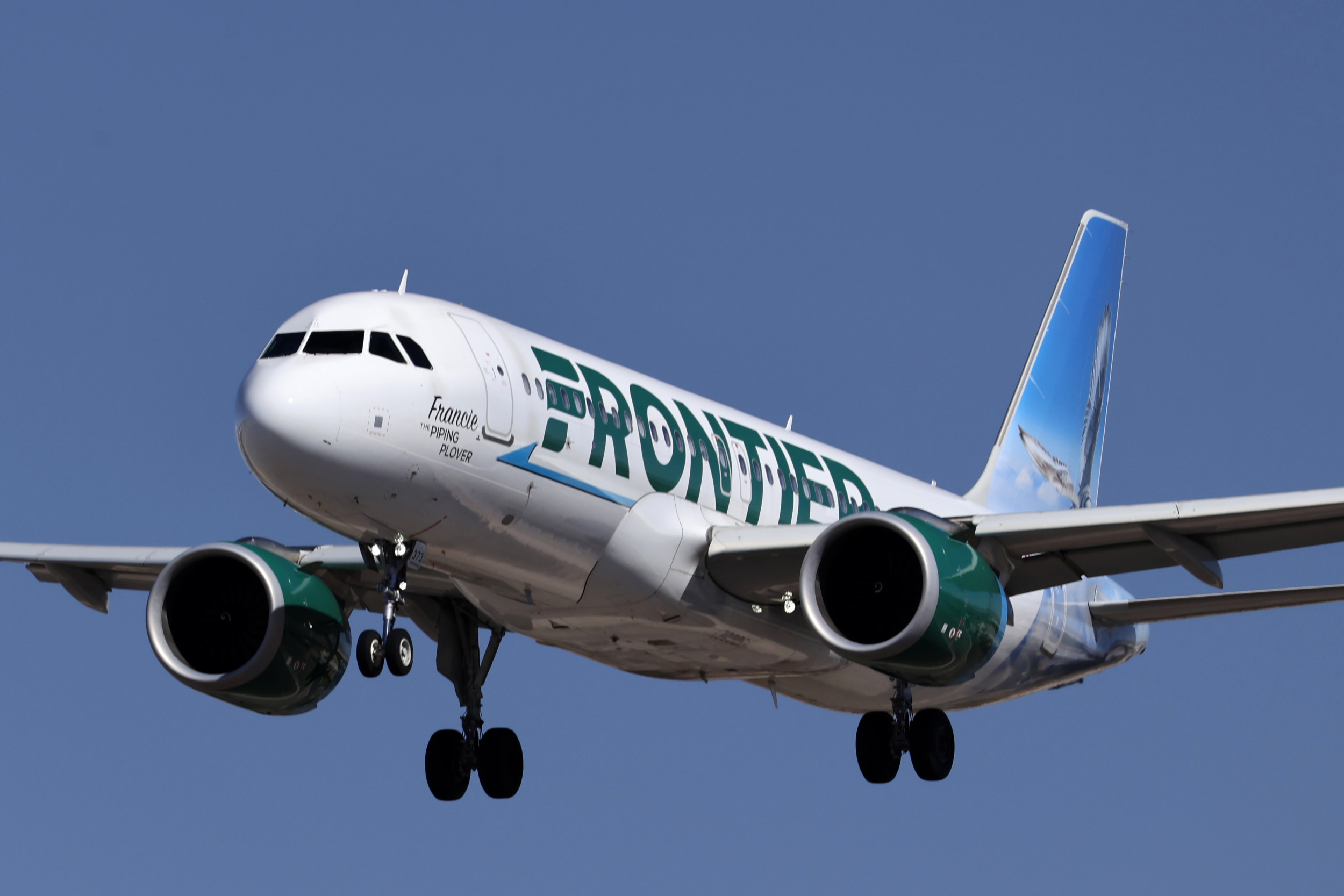 Pilot of Frontier Airlines Taken Into Custody Just Before Departure