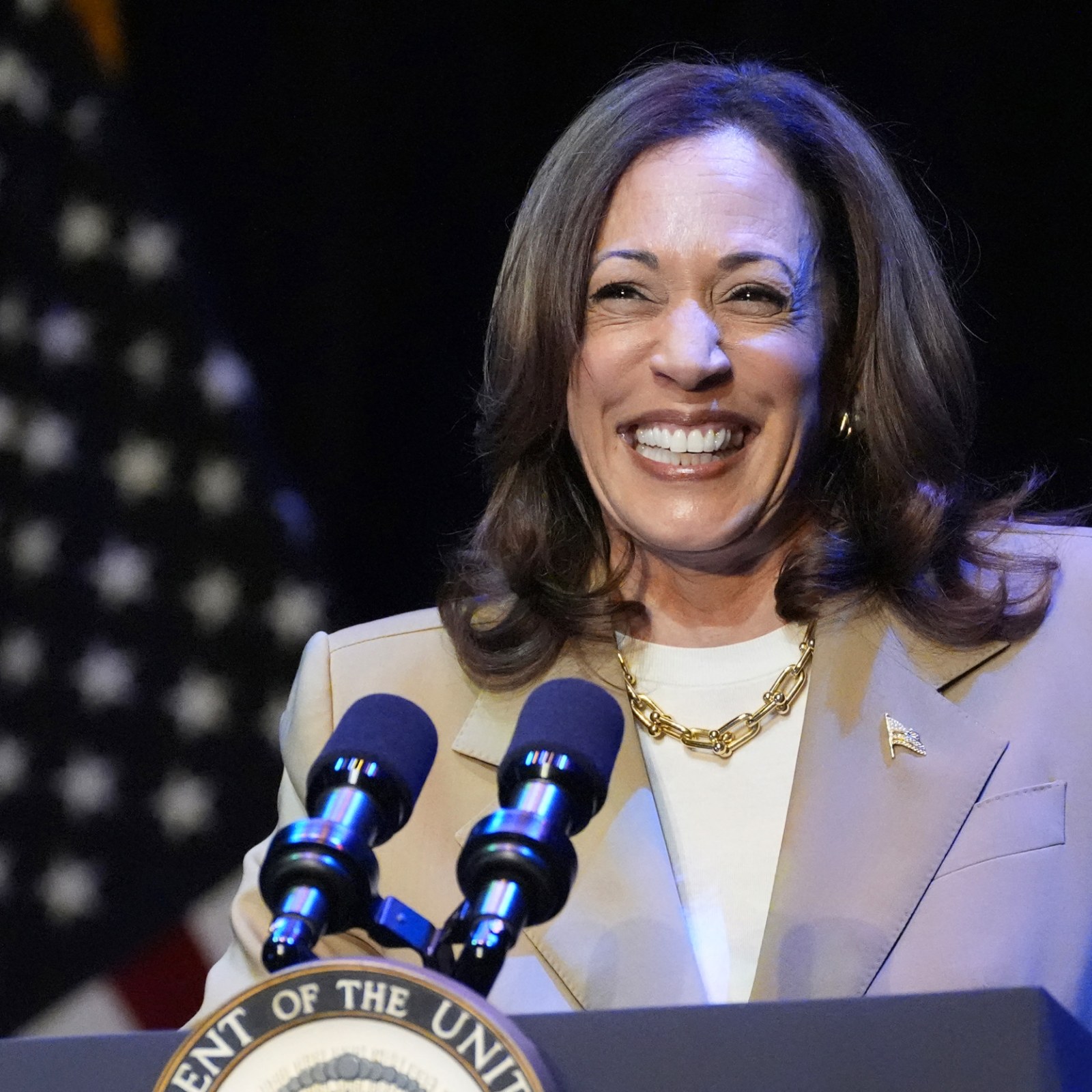 Republicans Now Attacking Kamala Harris For Her Jewelry - Newsweek