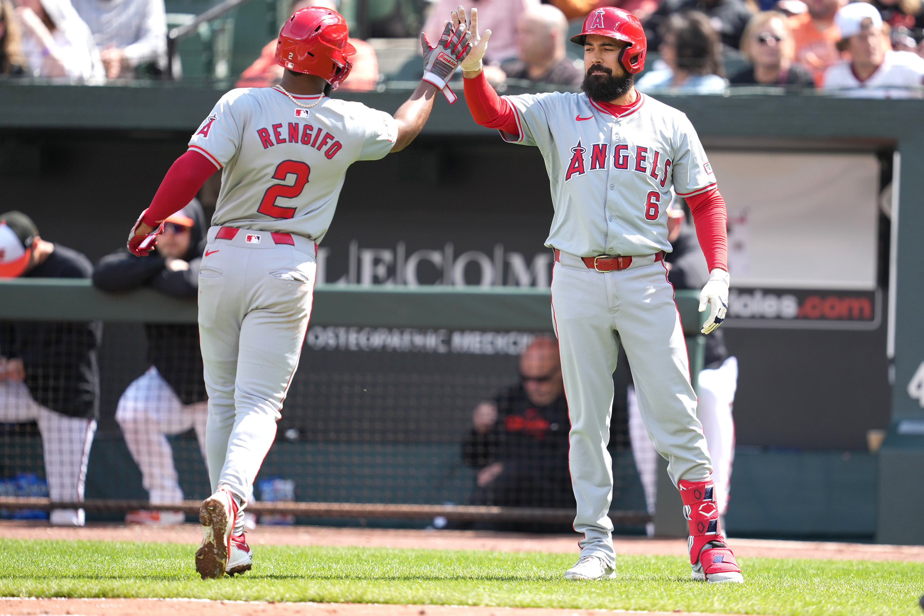 Angels Face Tough Blow as Another Player Goes Down for the Season