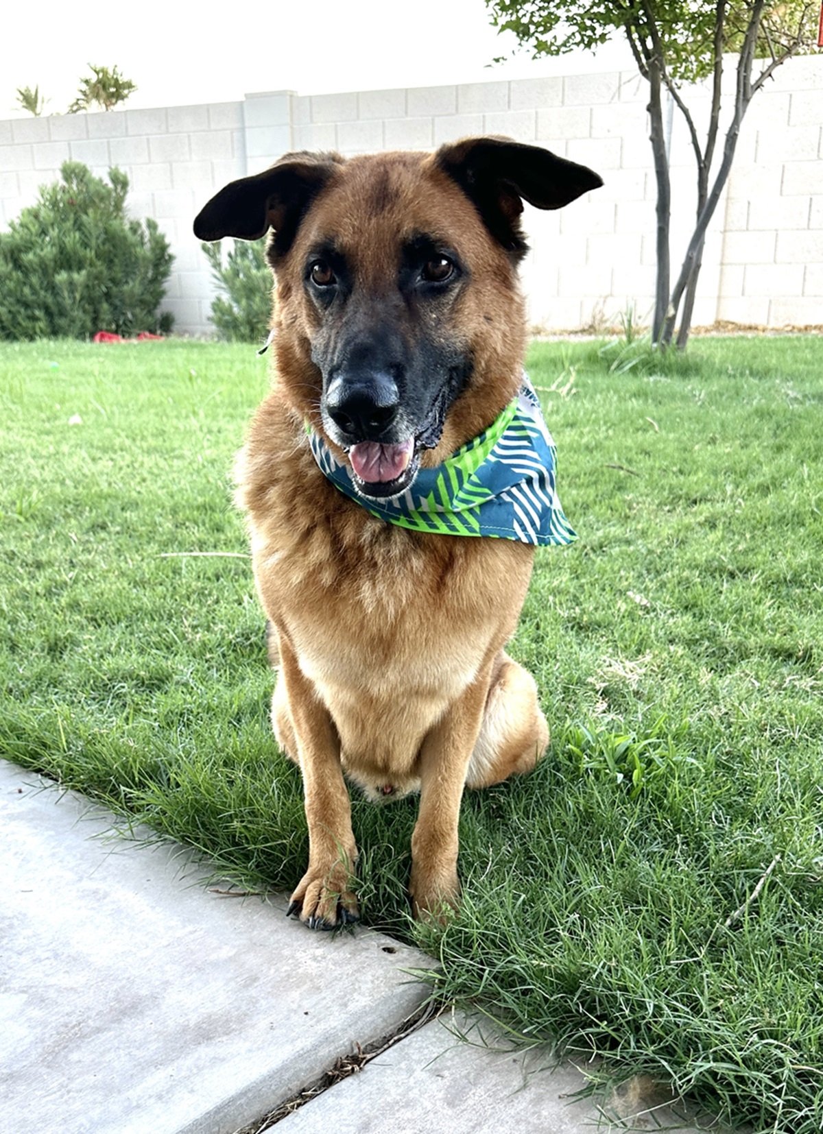 Riggs