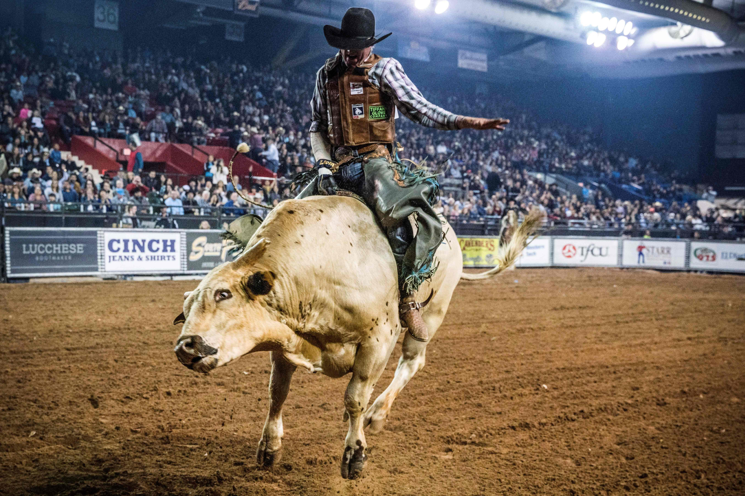 Texas Nationalists Want Separate Olympics Team, Make Bull Riding a Sport