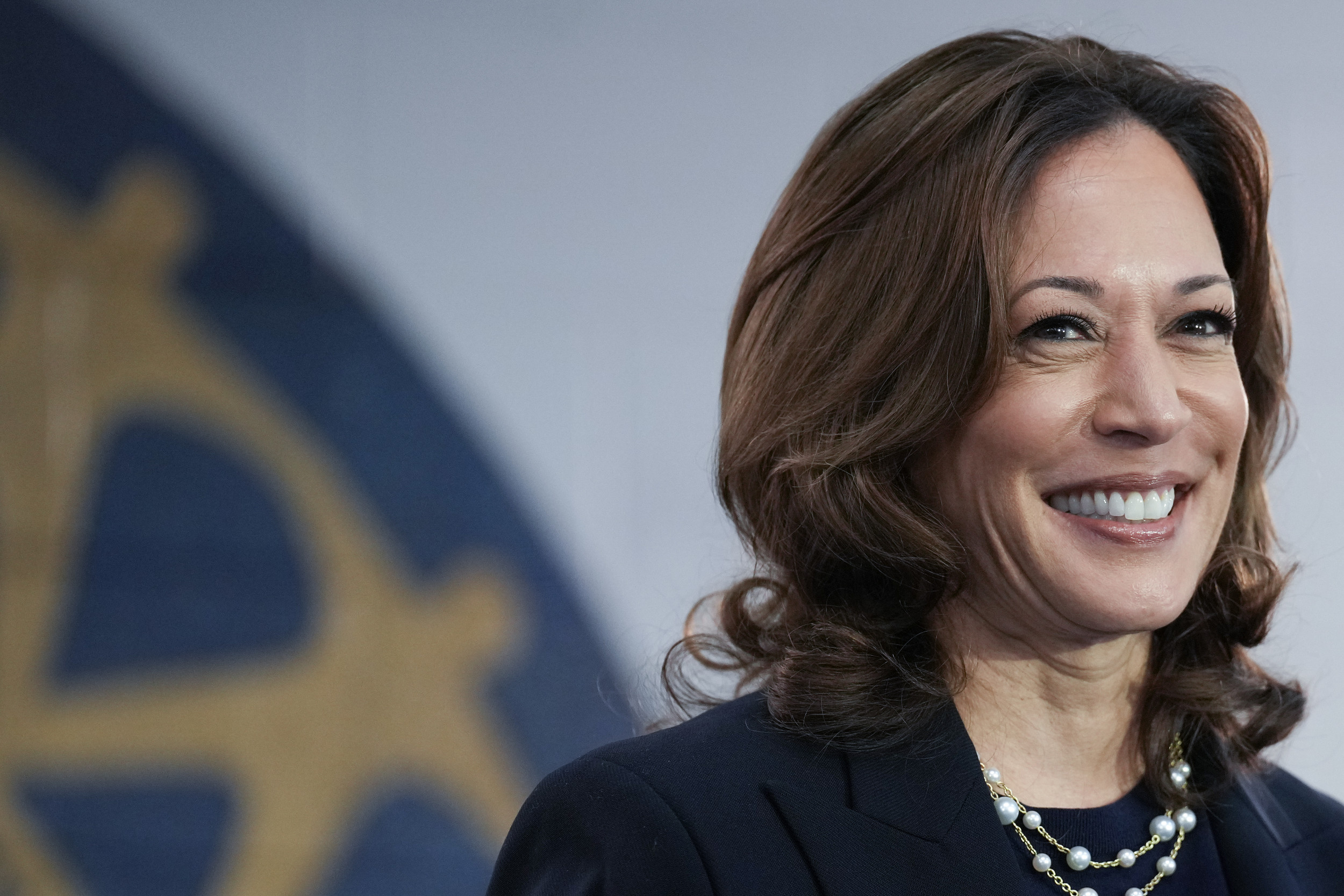 Kamala Harris Leading Donald Trump in All Seven Battleground States