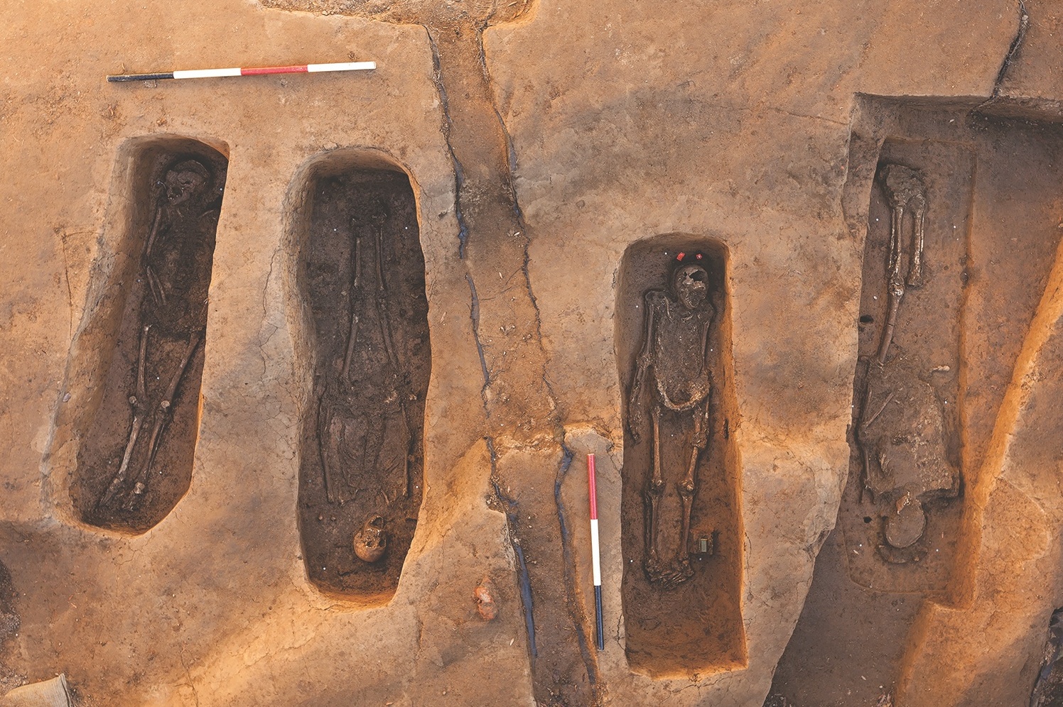 DNA Study Uncovers Jamestown Family Secrets