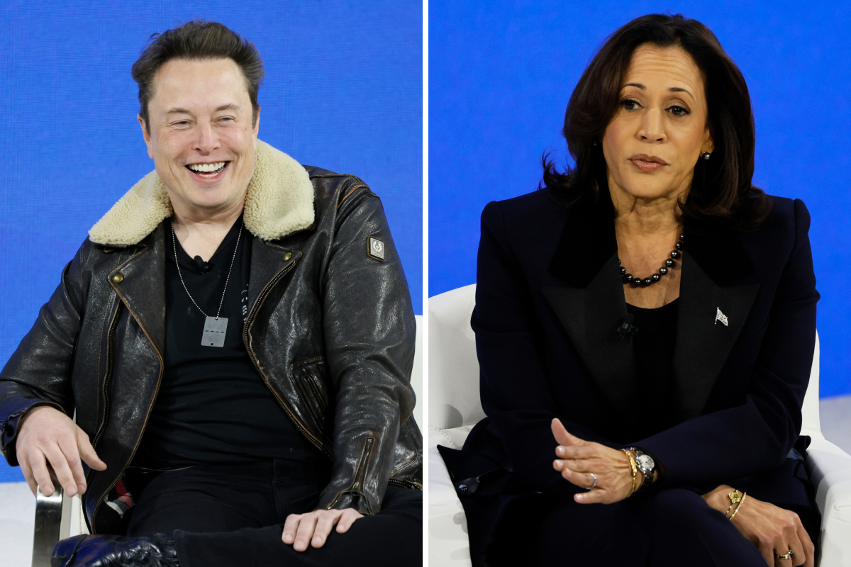 elon musk and kamala harris composite