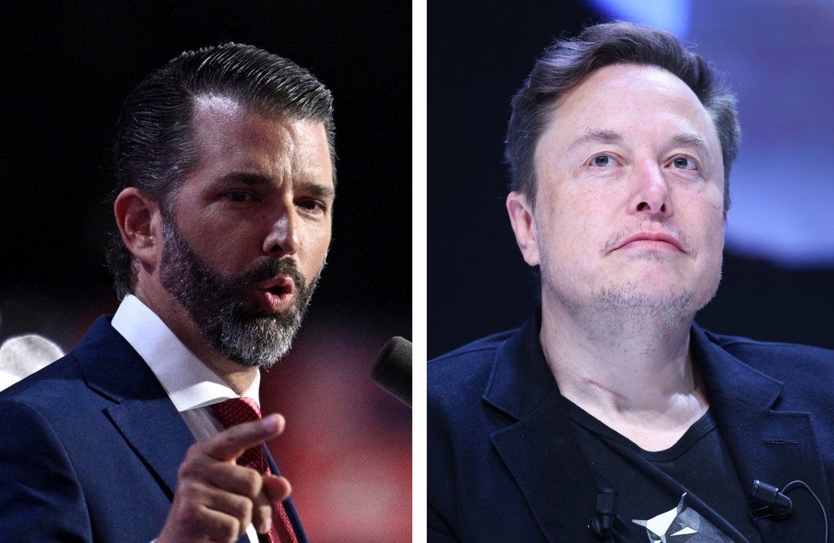 Donald Trump Jr. Floats Government Job for Elon Musk - Newsweek