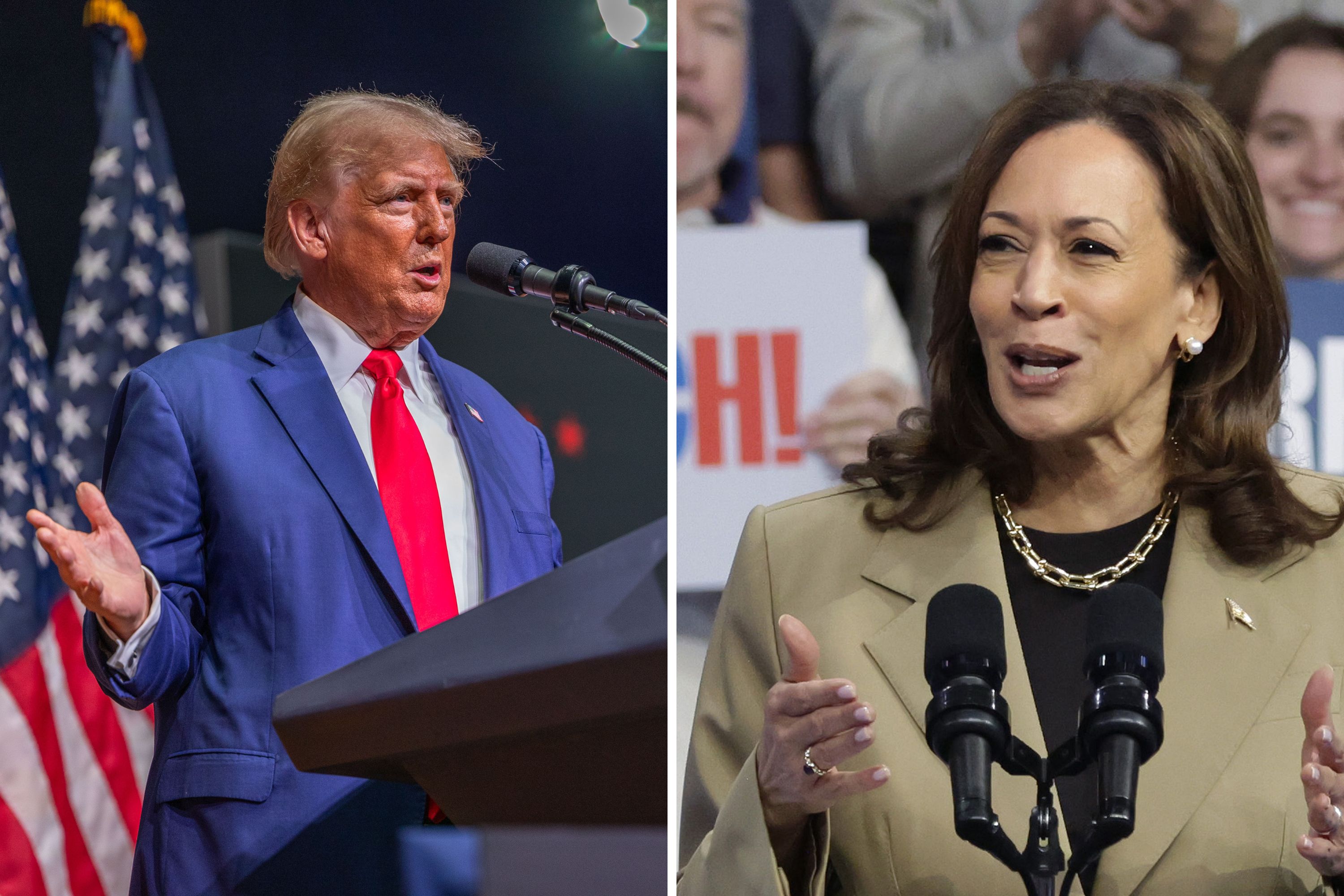 Kamala Harris Just Took Lead Over Trump in 5th Swing State Polling