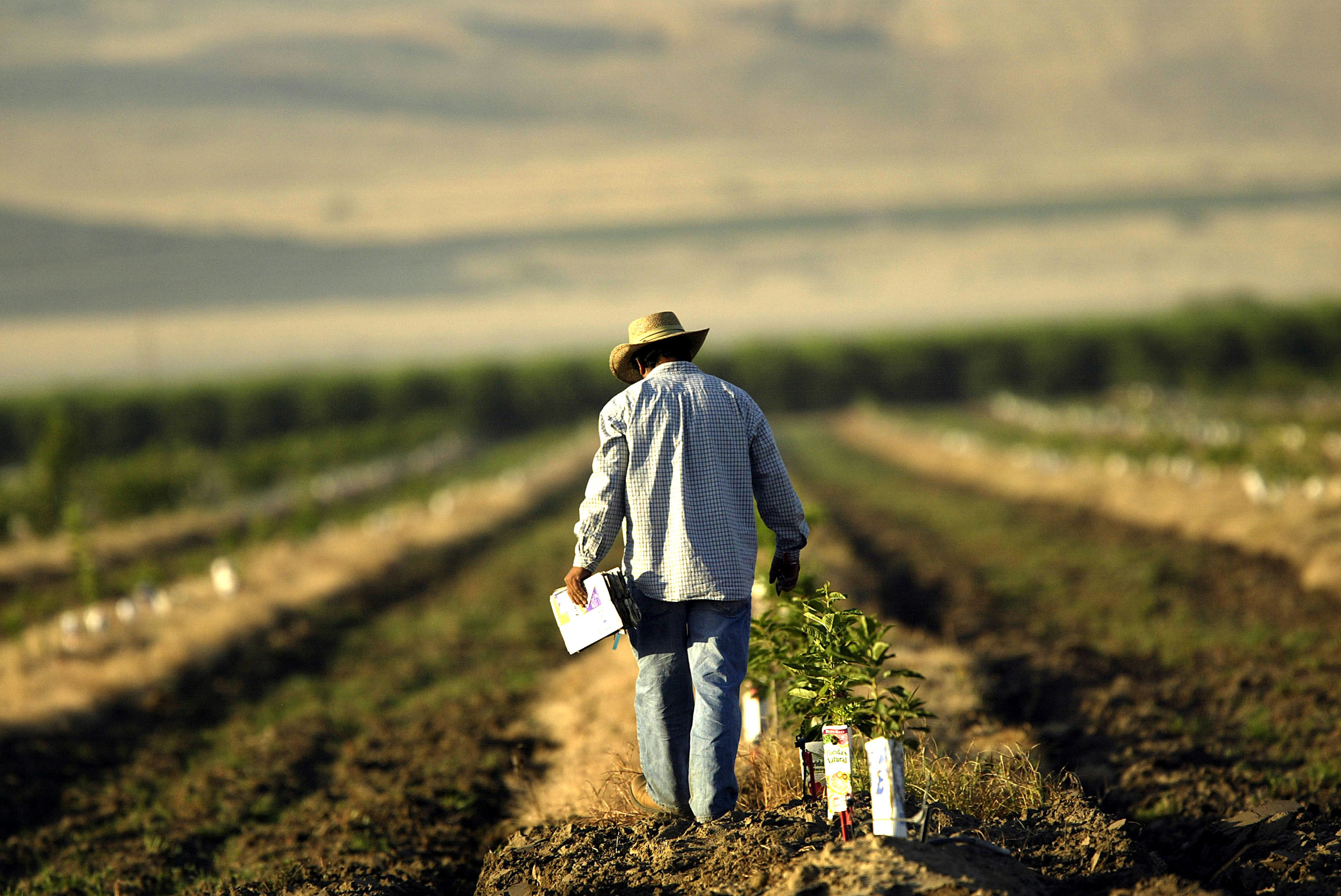 California Faces Backlash Over Worker Heat Complaints