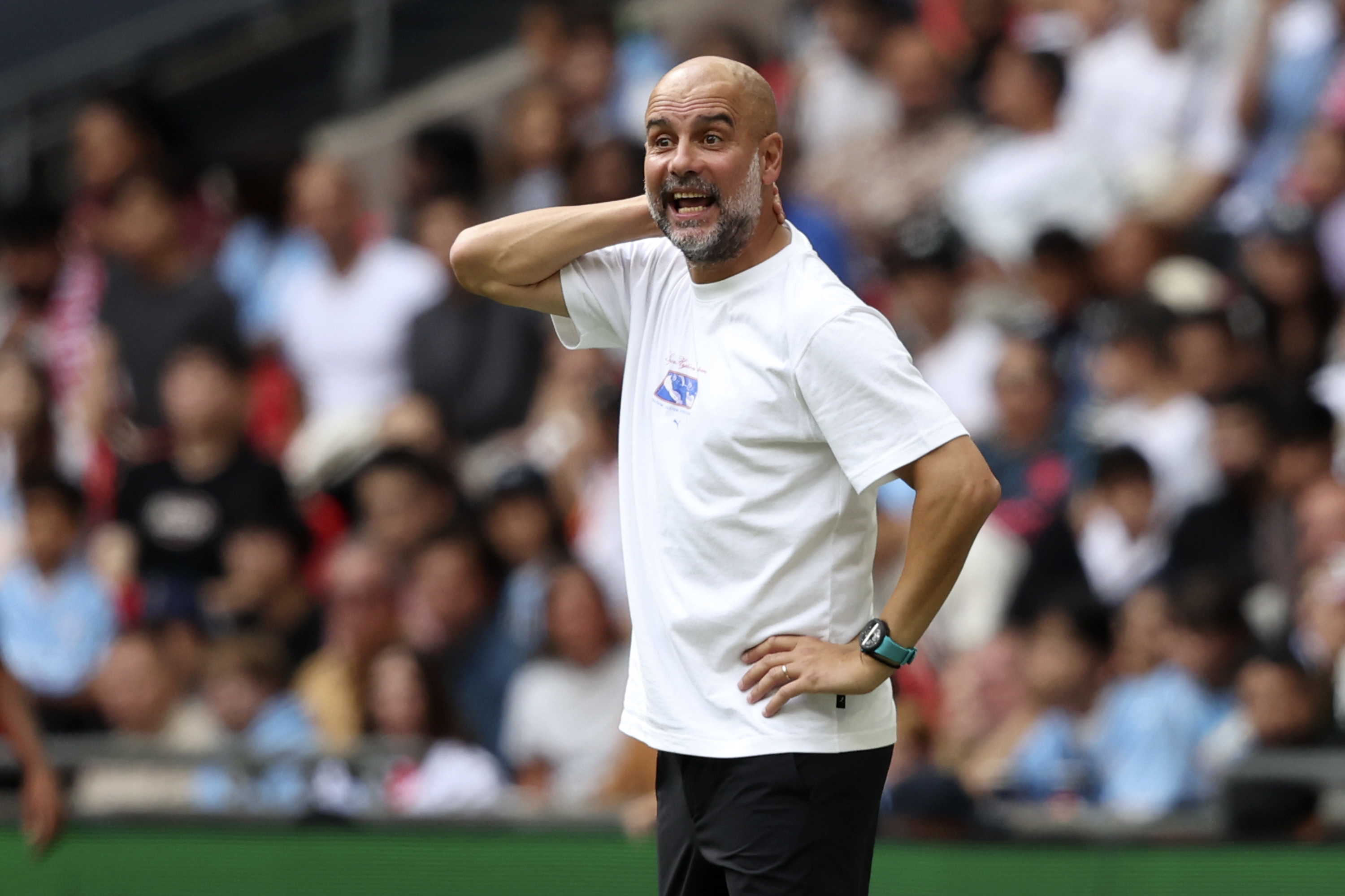 Premier League 202425 Relegation Odds Could Manchester City be