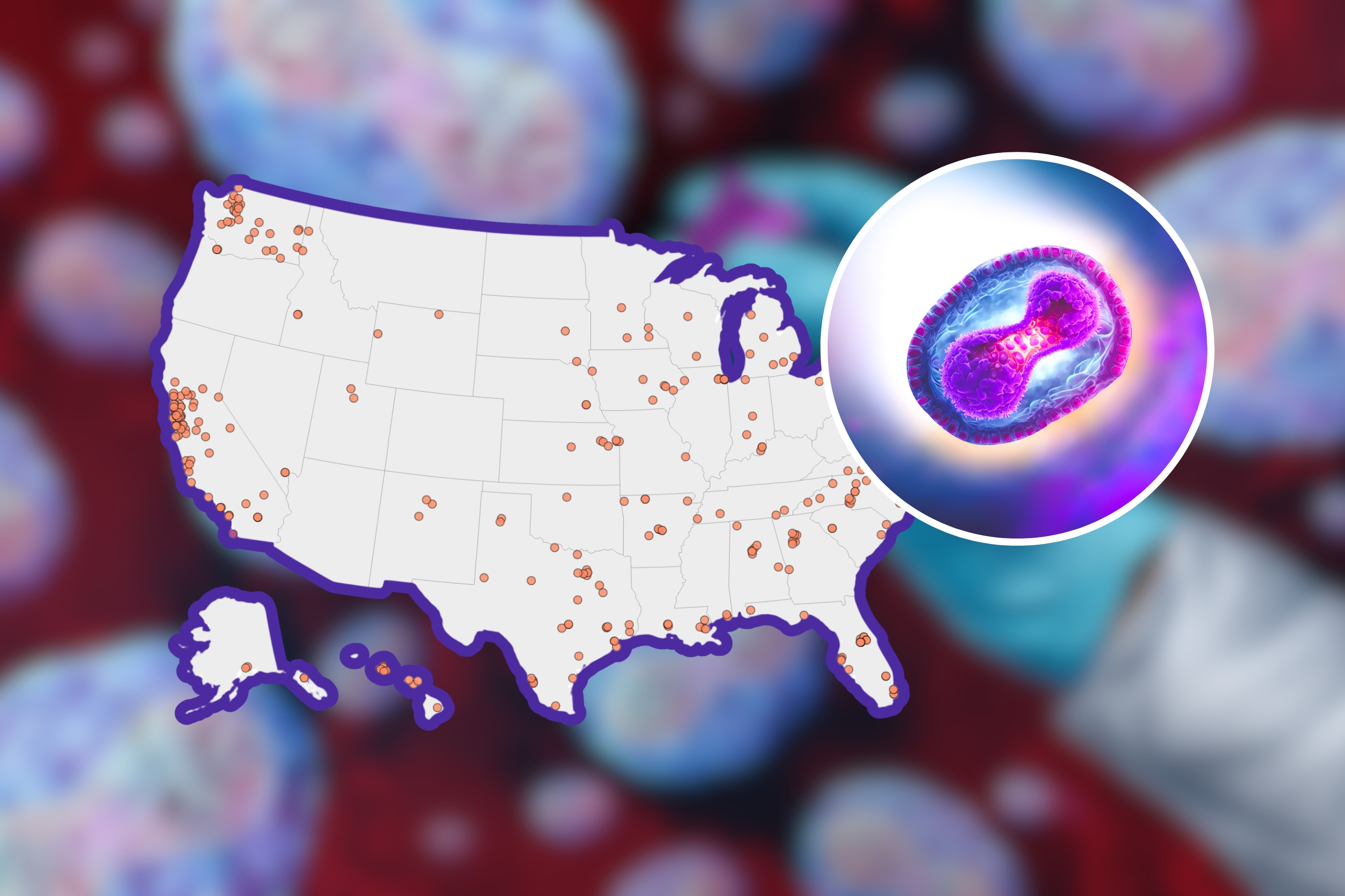 CDC Updates Mpox Map, Advises Best Vaccination, Other Protections ...