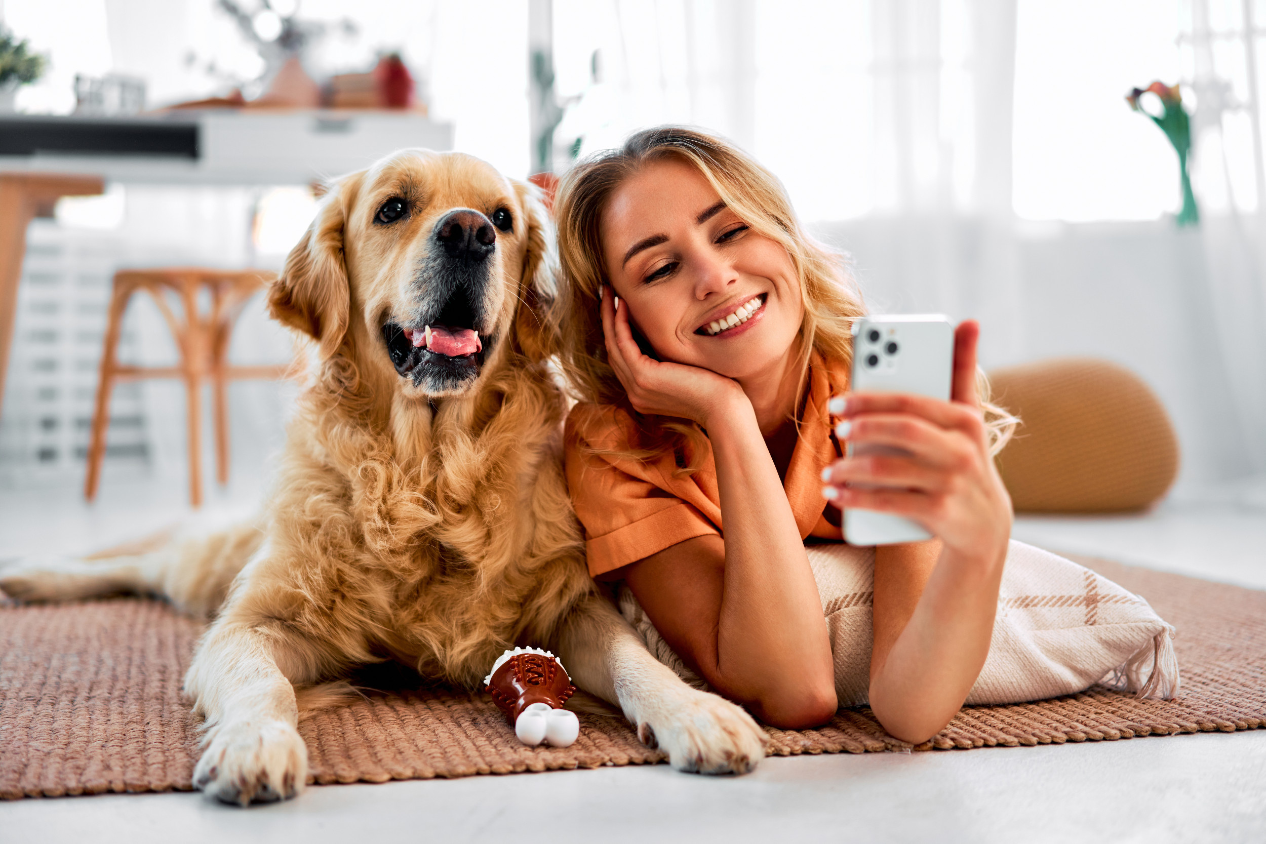 Golden Retriever who loves making video calls with his grandma makes hearts melt: “Adorable”