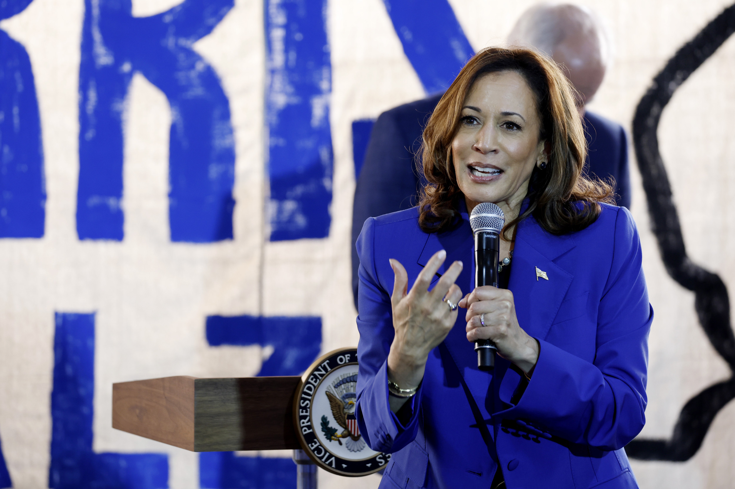 Democrats face criticism of Kamala Harris’ new economic plan