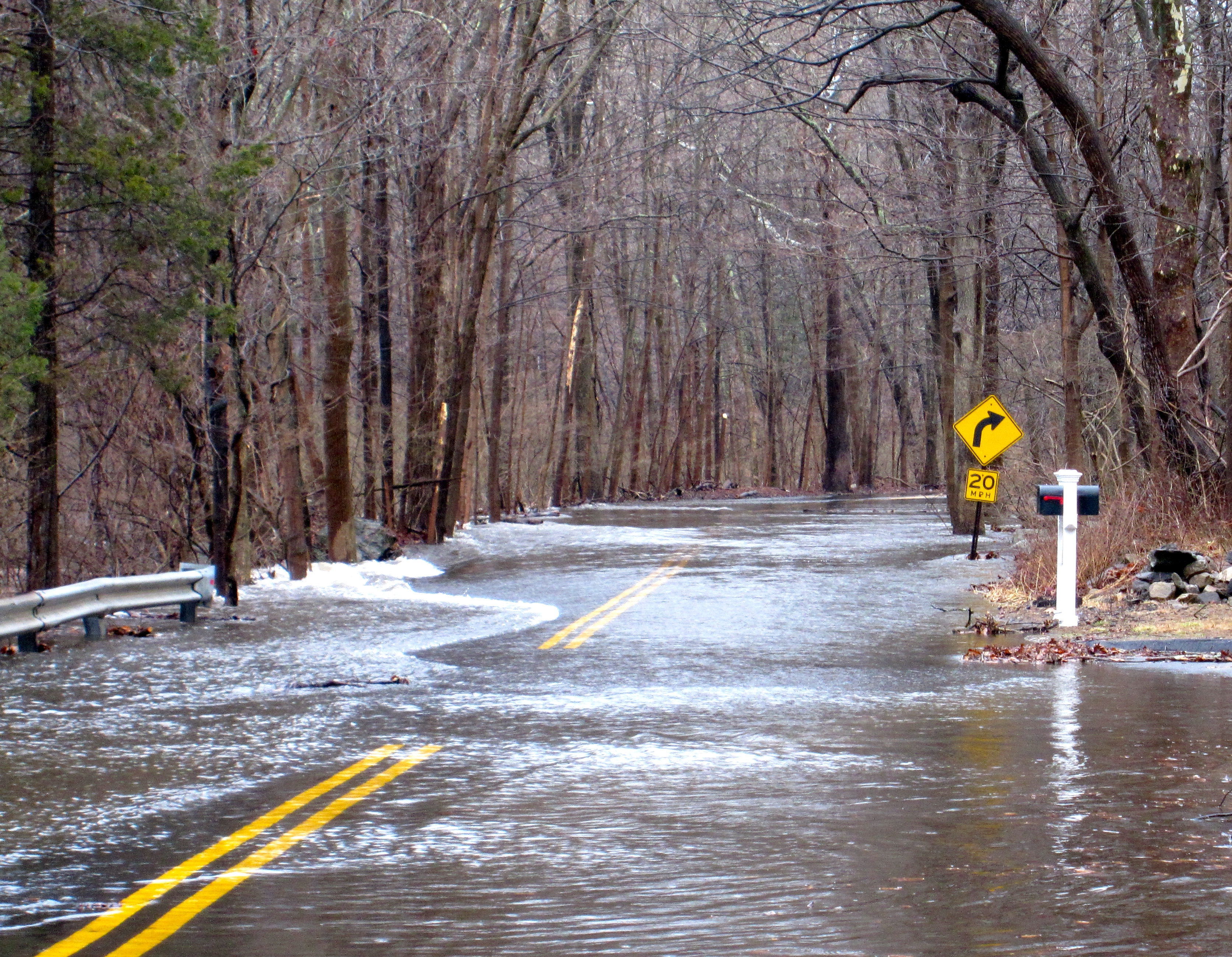 Dramatic Rescue: Man and Dog Saved from Devastating Connecticut Floods