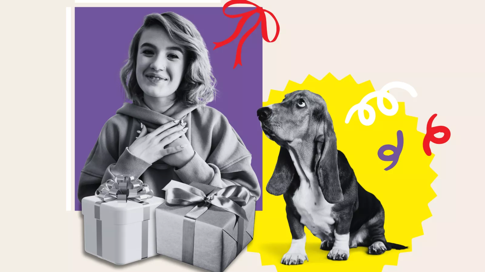 Gen Z Are Buying Their Dogs Birthday Presents - Newsweek