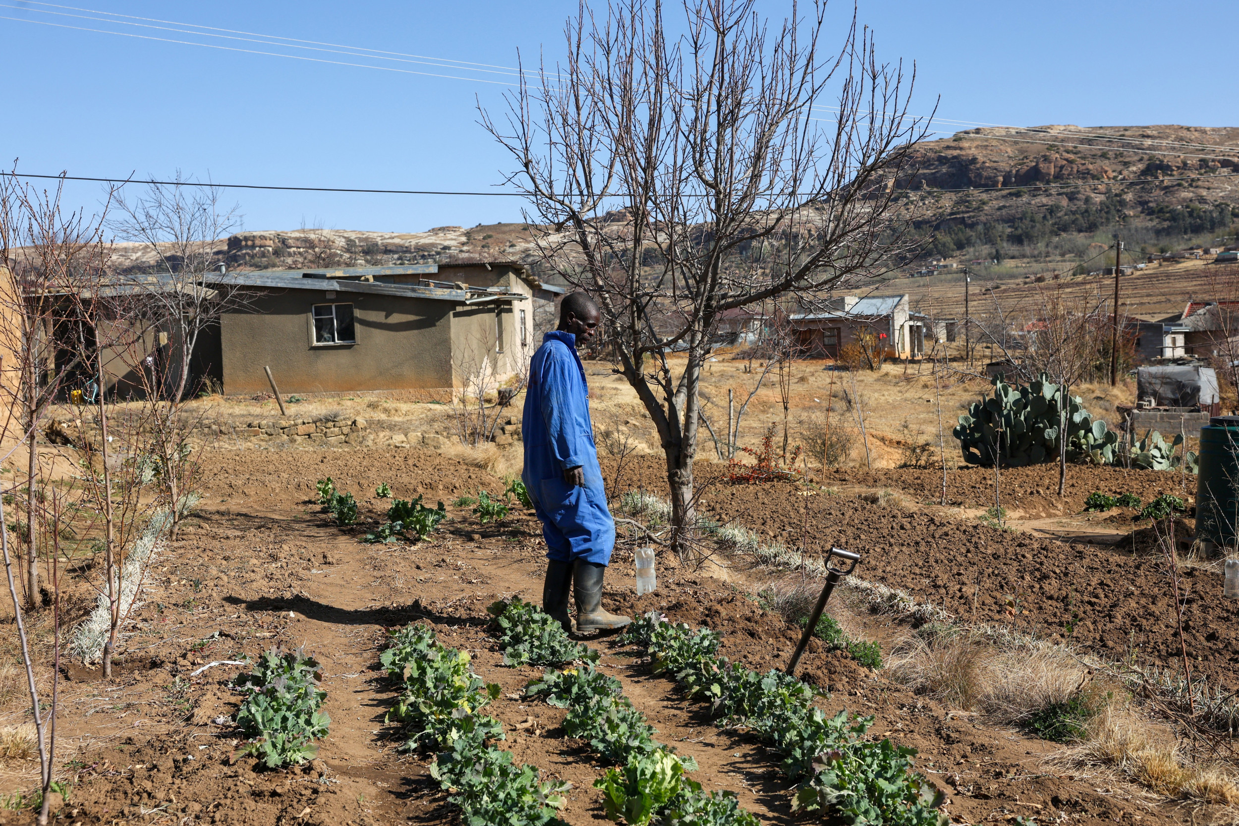 US Food for Peace is critical to American foreign policy | Opinion