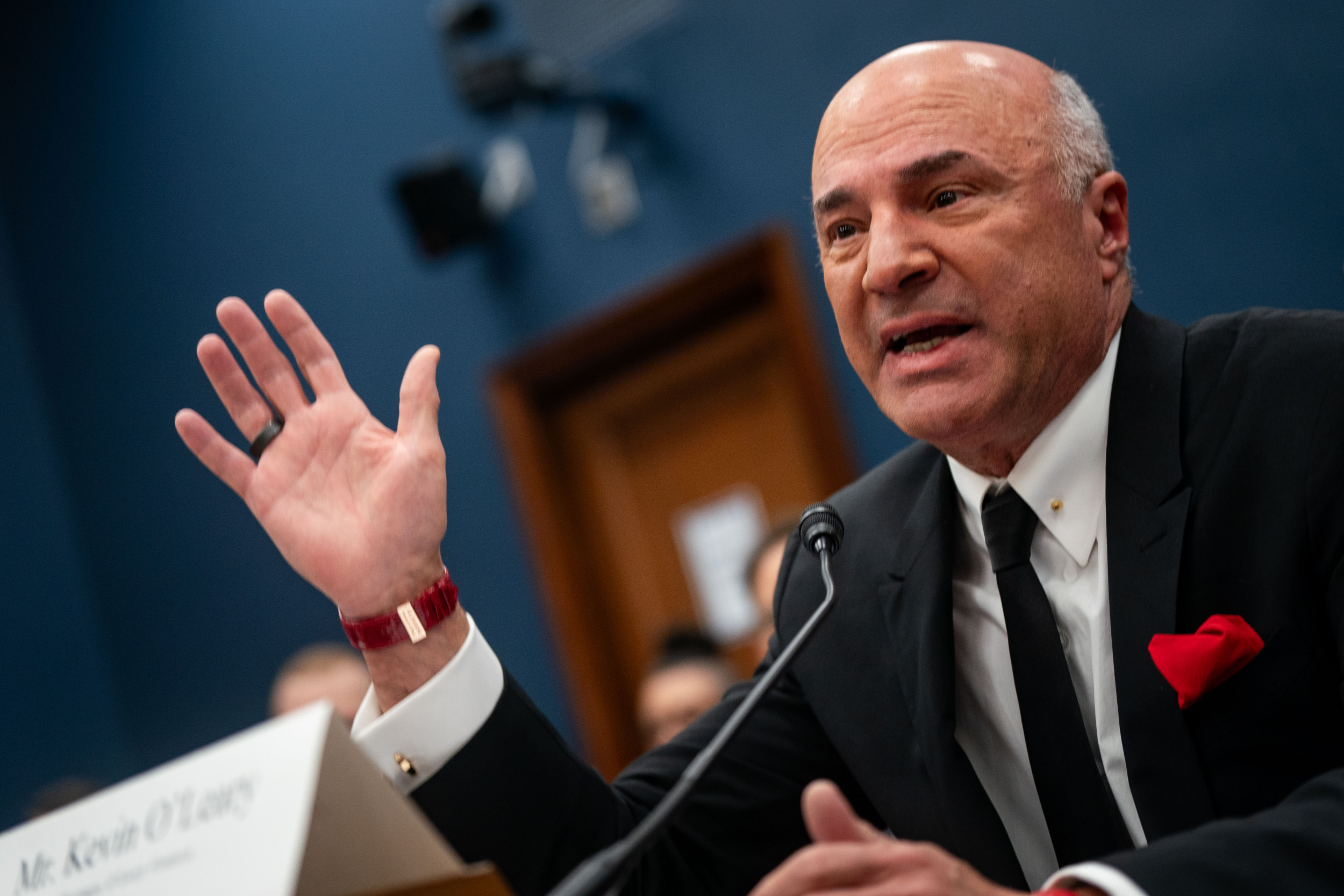 Kevin O’Leary Calls Kamala Harris’ Policy ‘Absolutely Insane’