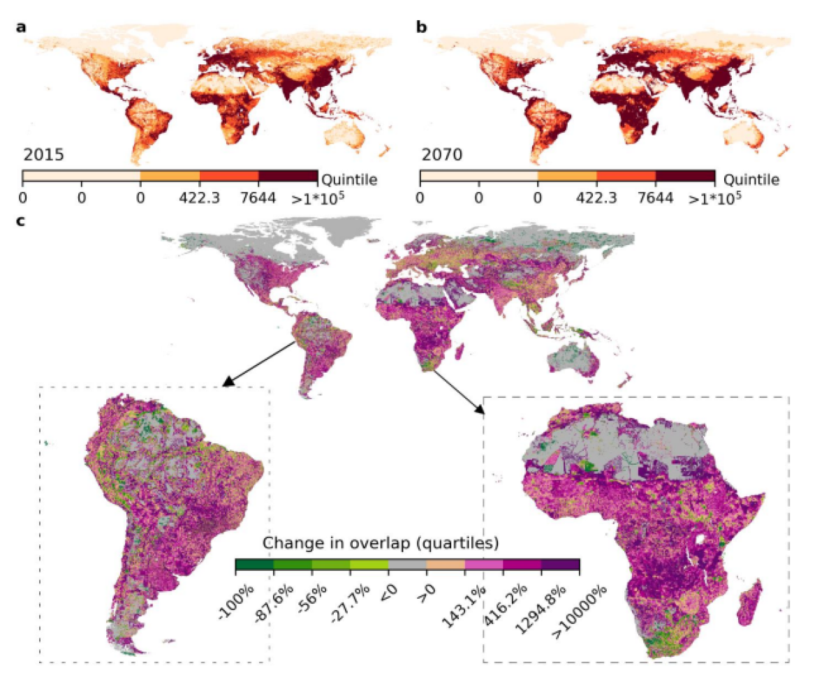 map of human wildlife overlap