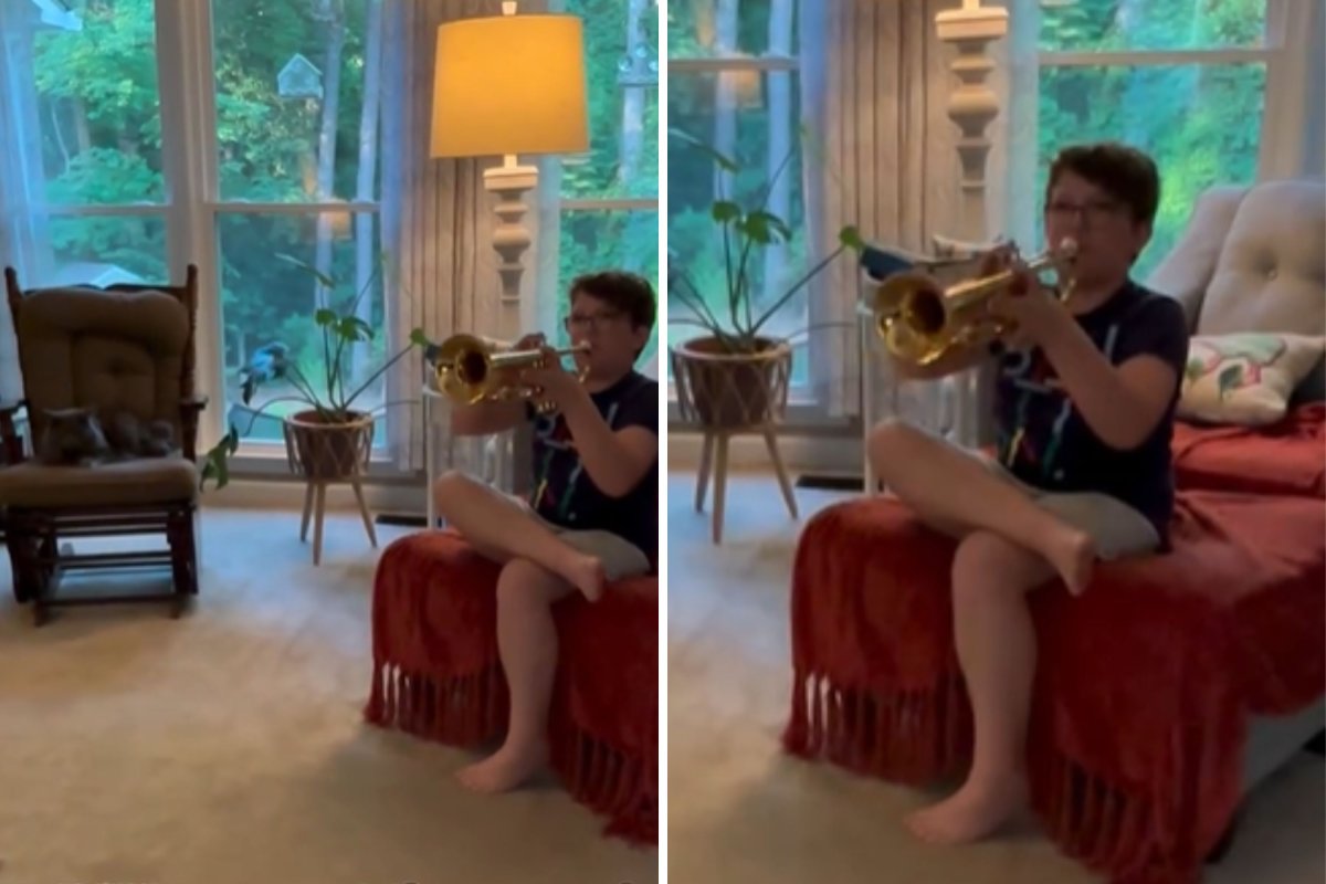 Child playing trumpet near cat
