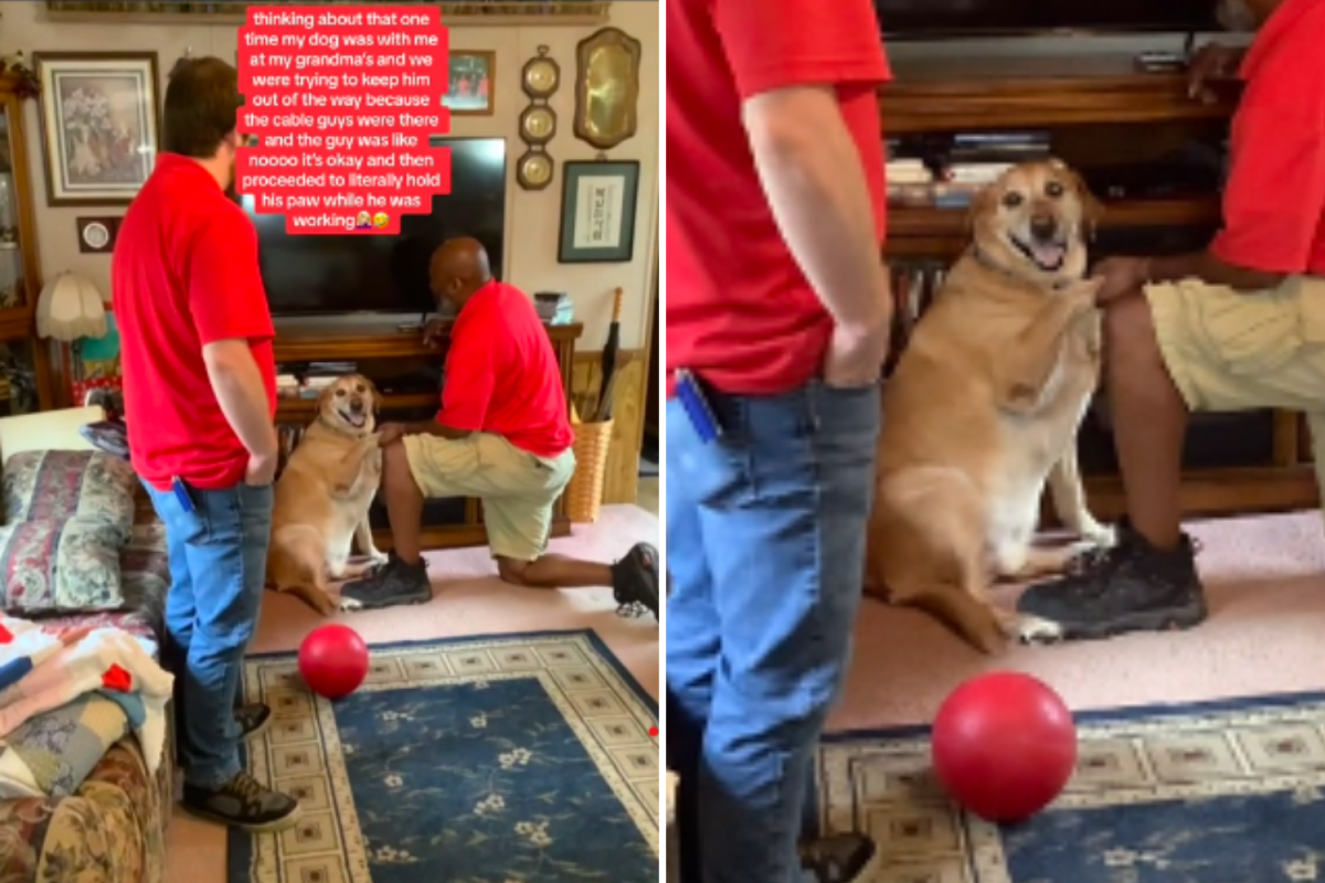 Dog holds hands with cable guy