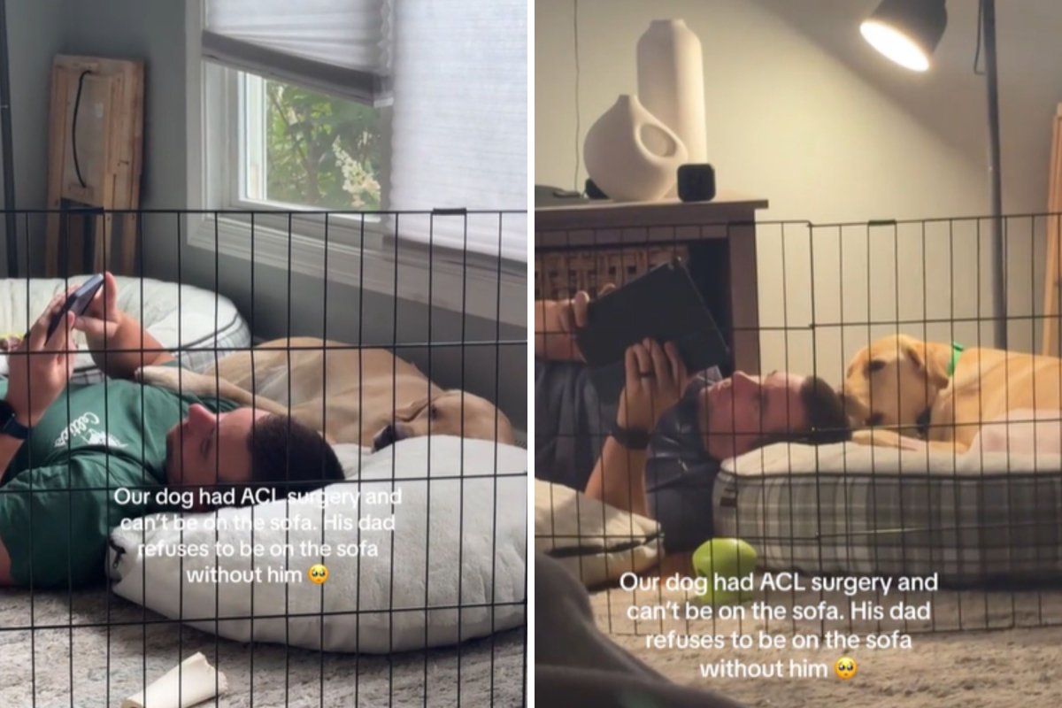 Owner with dog on floor