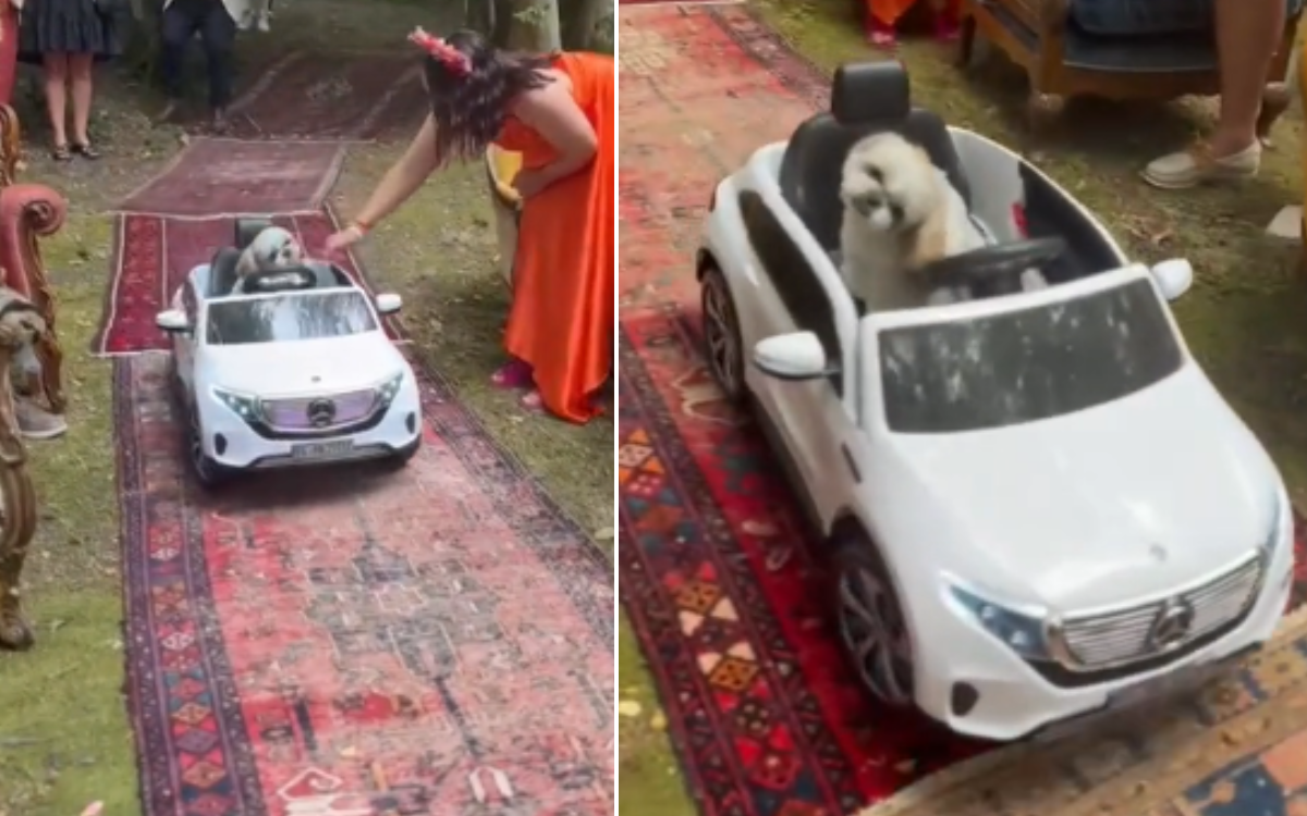 Dog outshines bride with grand entrance – “People are still talking about it”