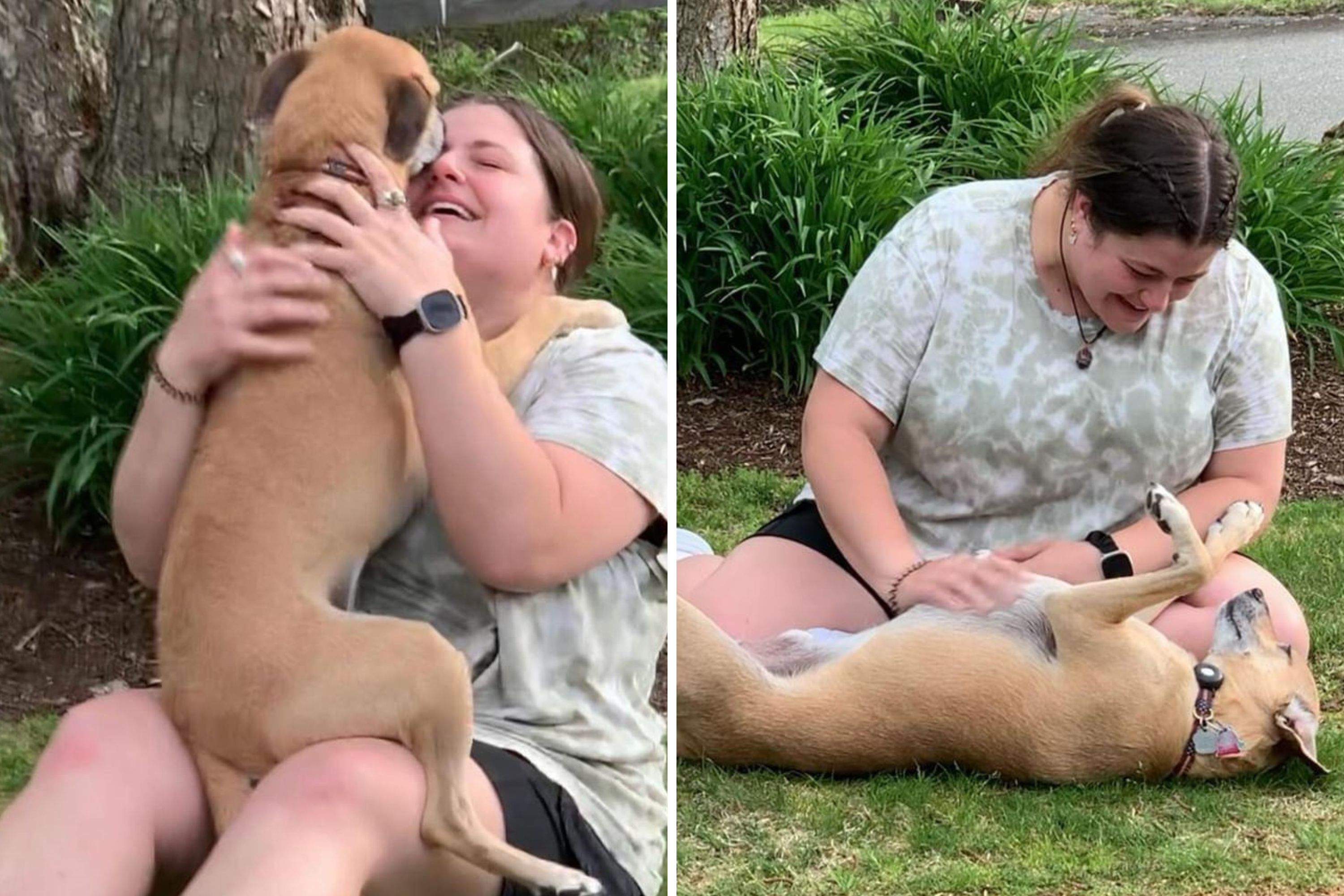 Heartwarming Dog Reunion: Woman Reunites with Furry Friend After 2 Months Apart