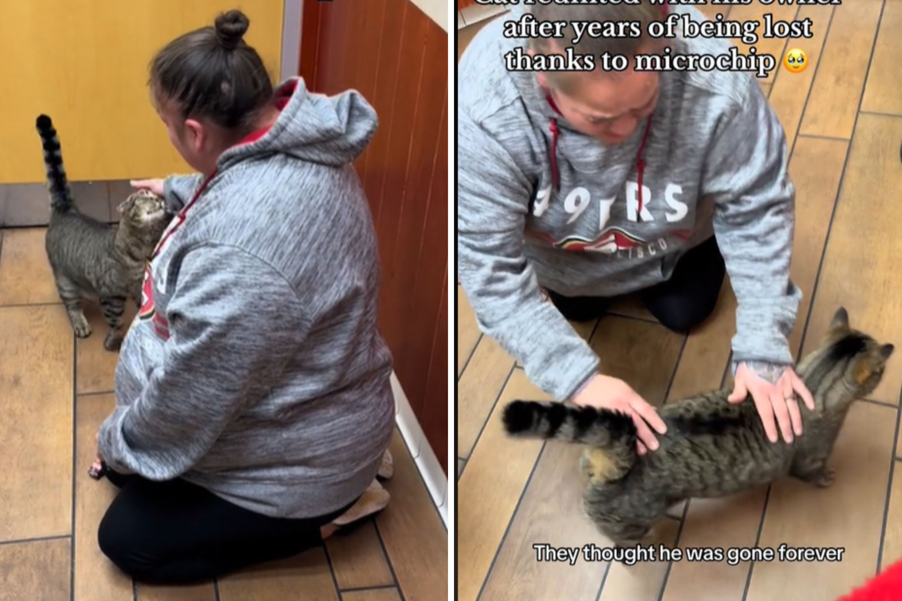 Heartwarming Reunion: Owner Finds Cat Years Later Who Still Recognized Her