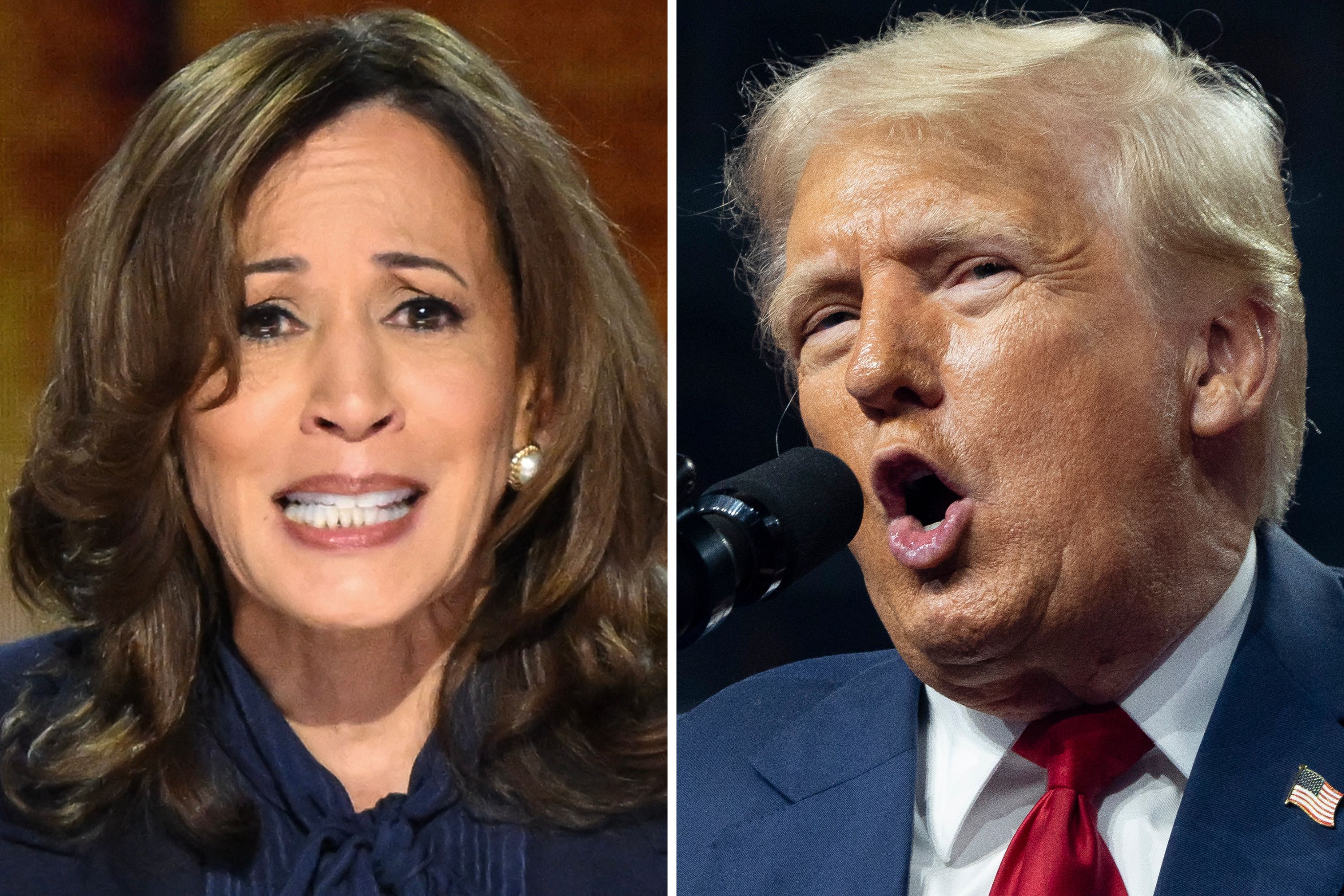 Donald Trump Questions Kamala Harris' 'Right To Run for President