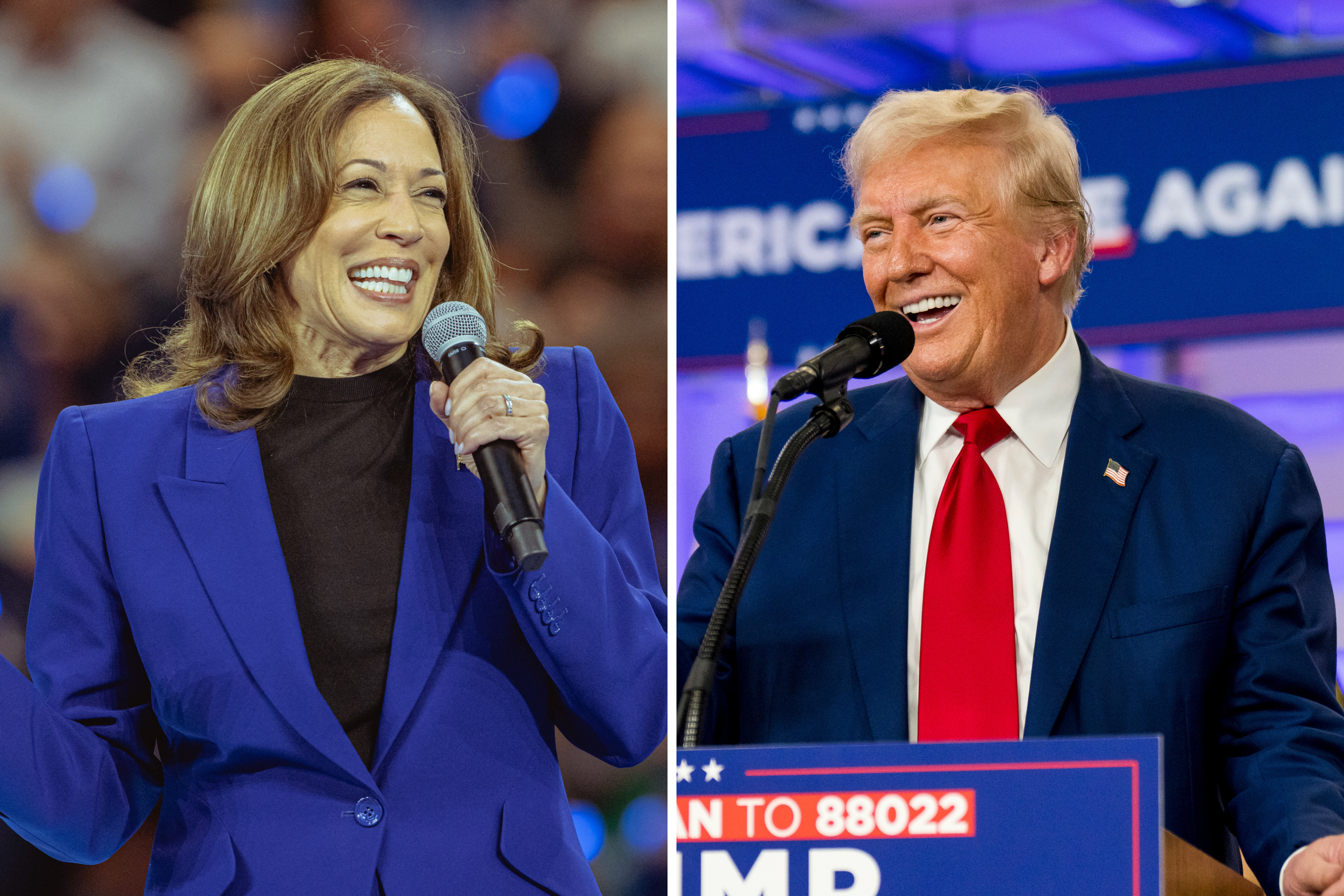 Kamala Harris Takes 7-Point Lead Over Donald Trump in New National Poll