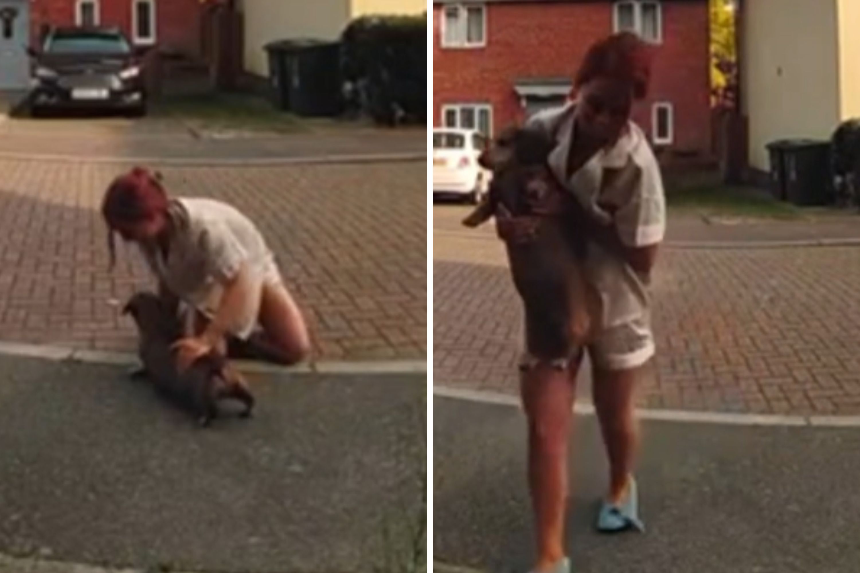 Doorbell camera films owner's "how to" on keeping dachshund from escaping