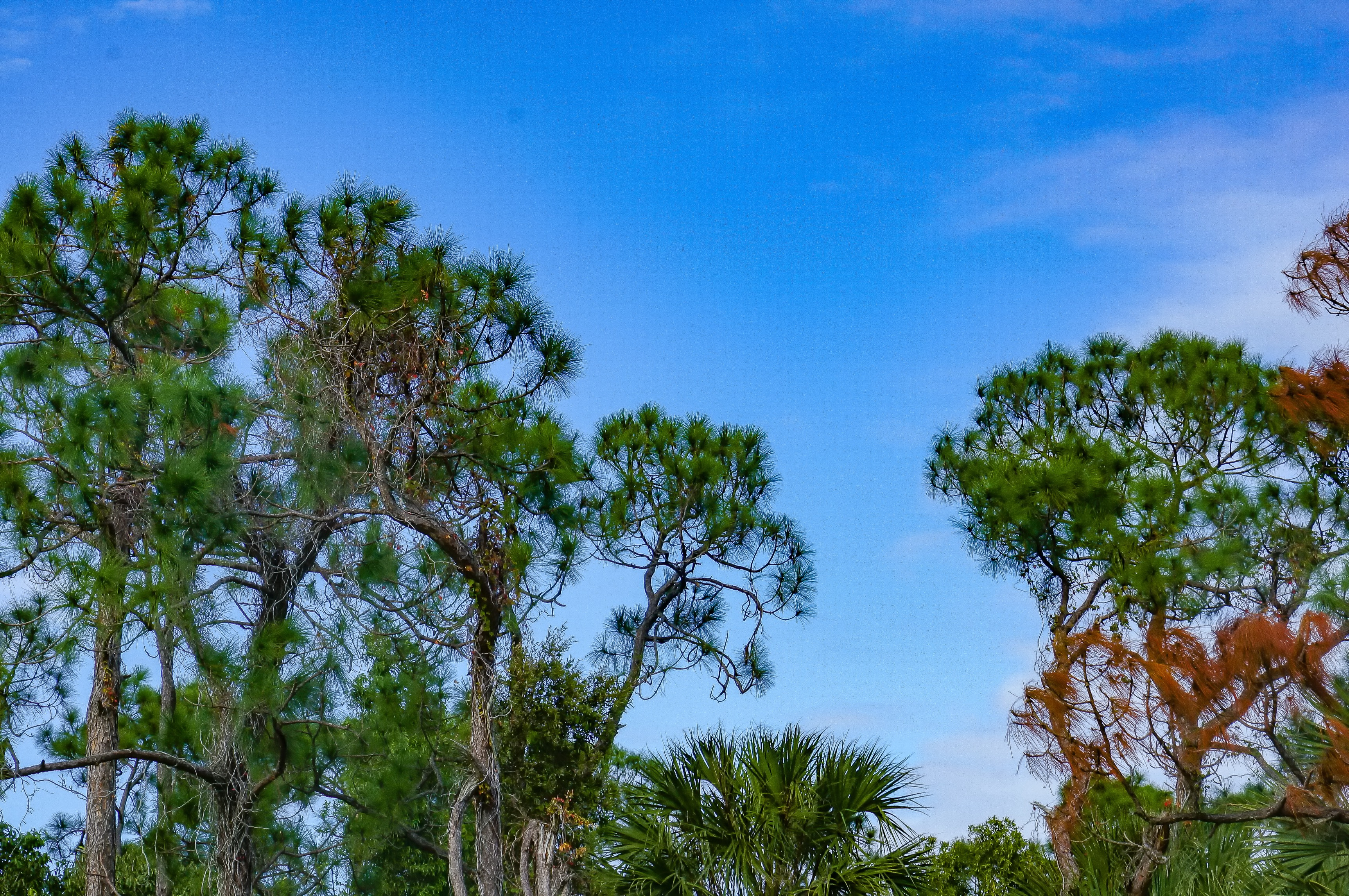 Florida’s golf courses in state parks to be changed