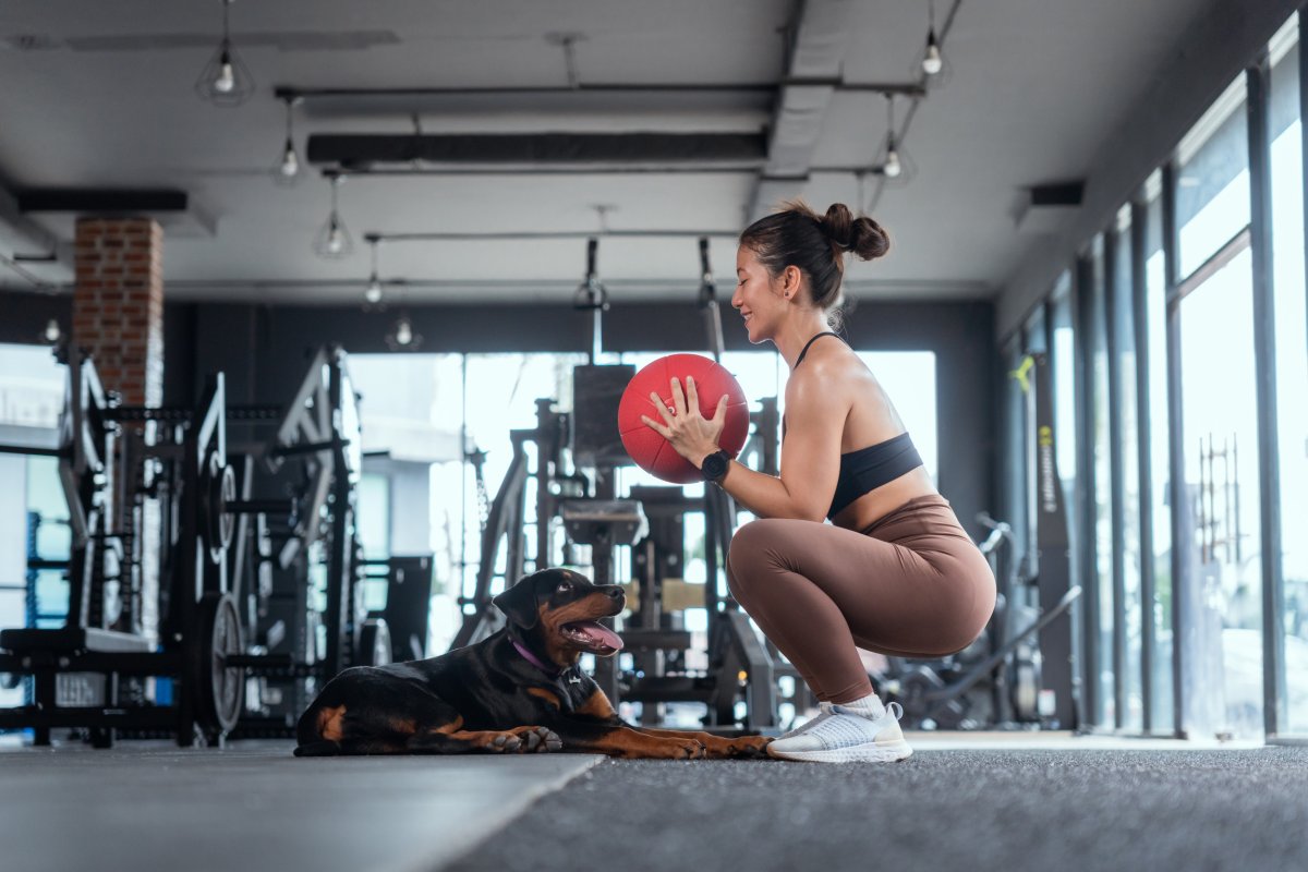 dog exercises with owner
