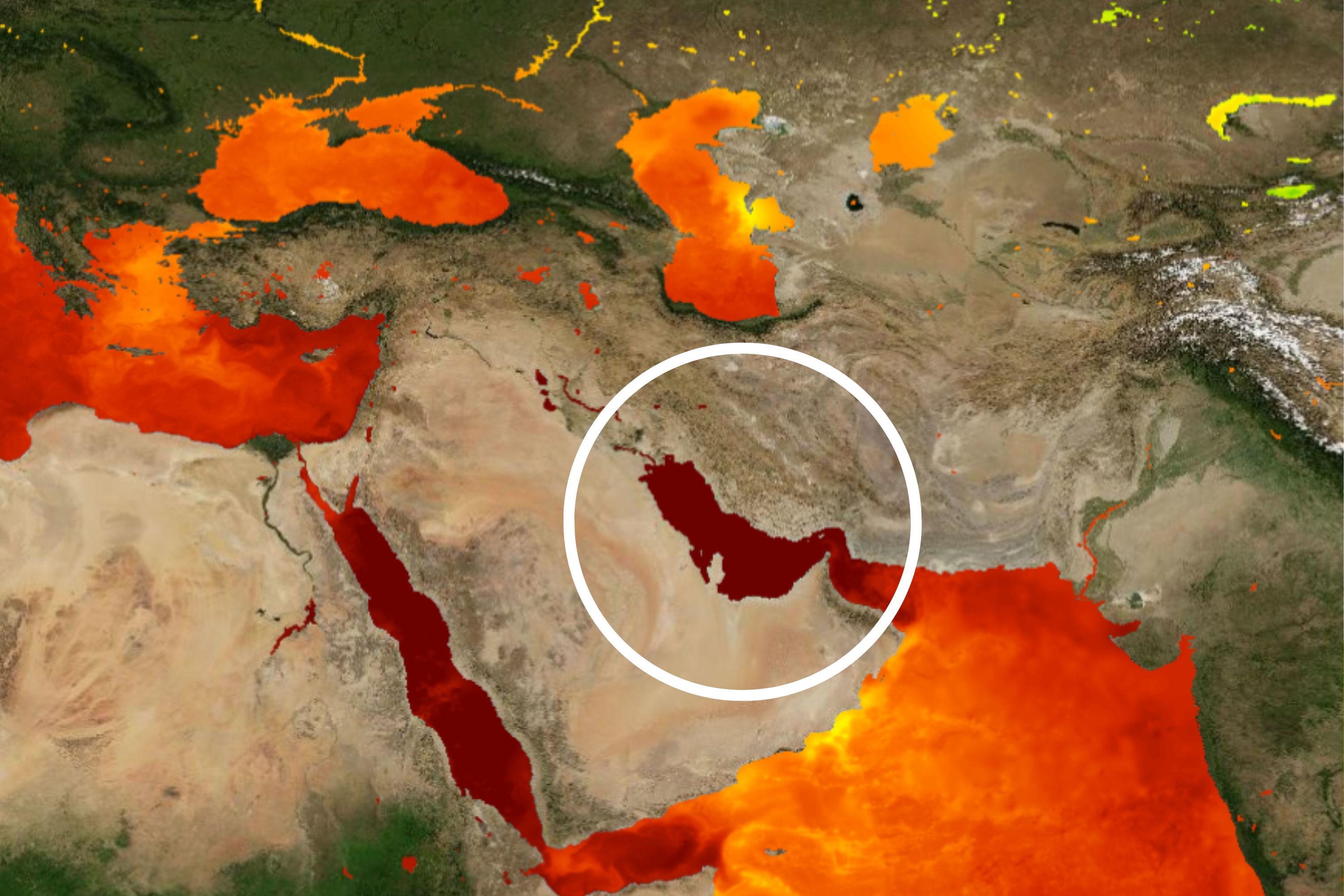 Sea Surface Temperatures Hit 97.7 F: 'One of the Highest' Ever Recorded ...