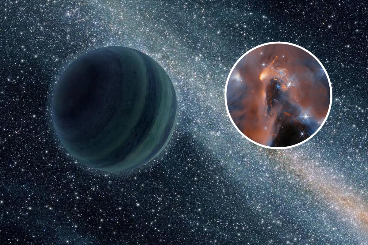 Rogue Planets