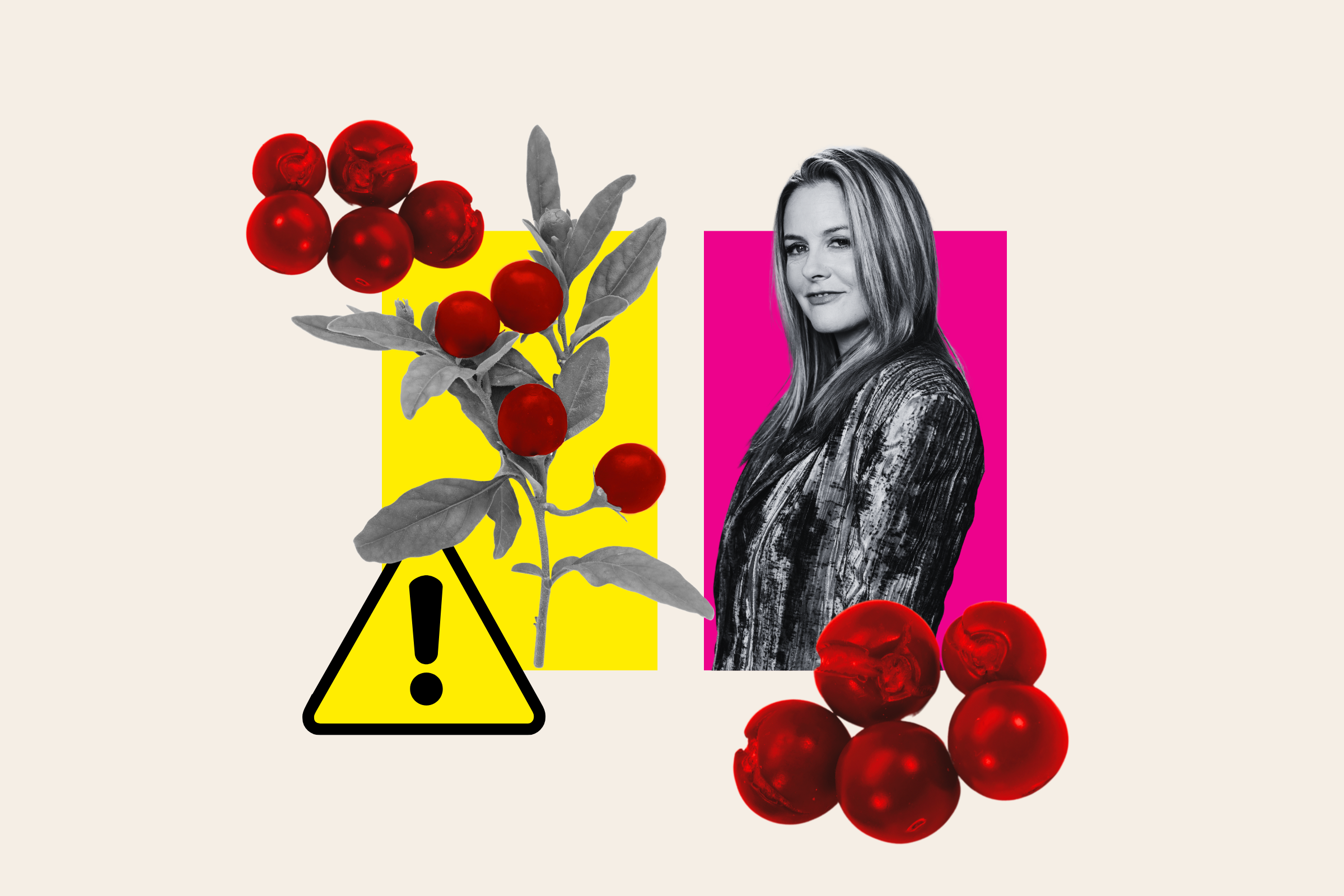 Fact check: Was Alicia Silverstone in danger after eating poisonous fruit?