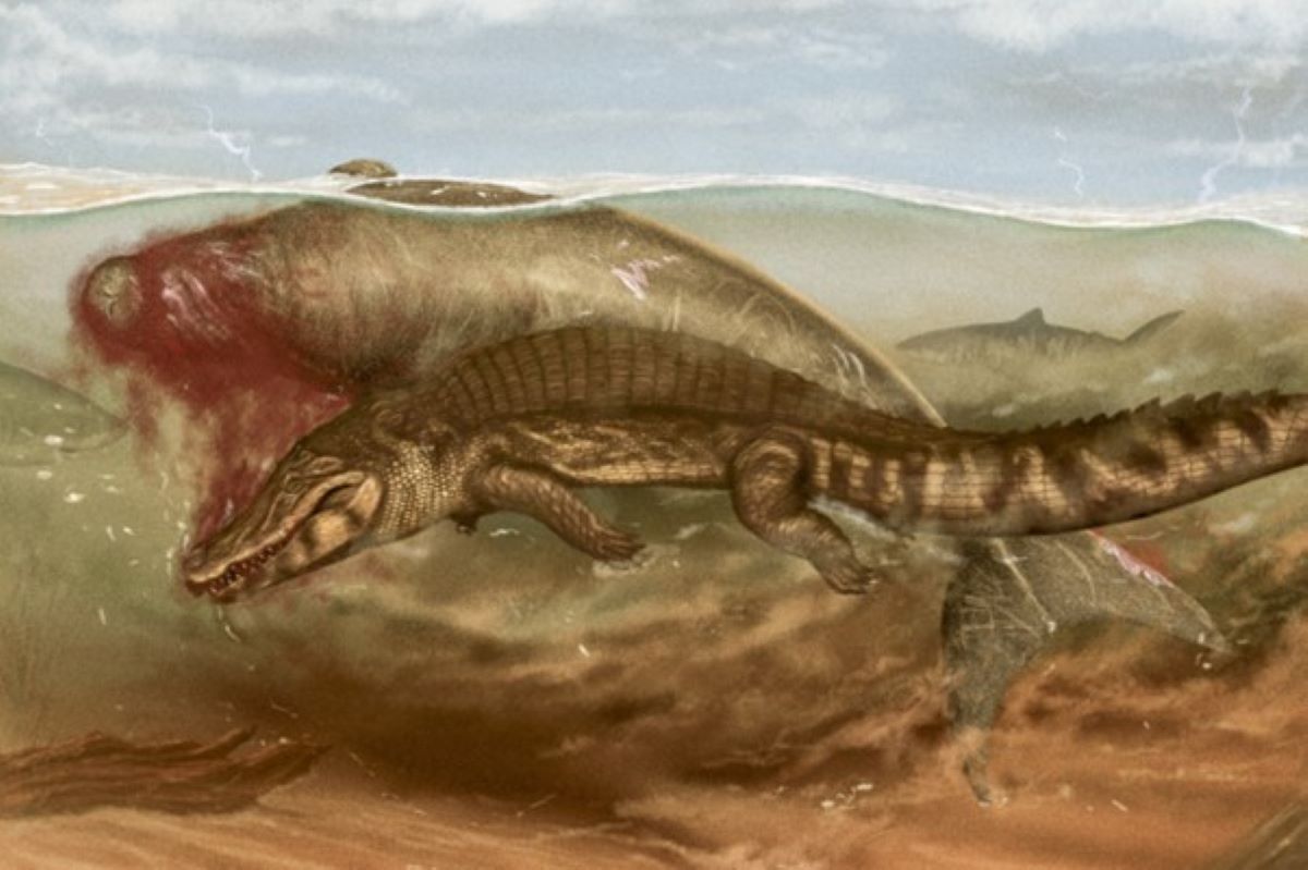 Rare Fossil Uncovers Shark and Crocodile Feast on Unlucky Sea Cow