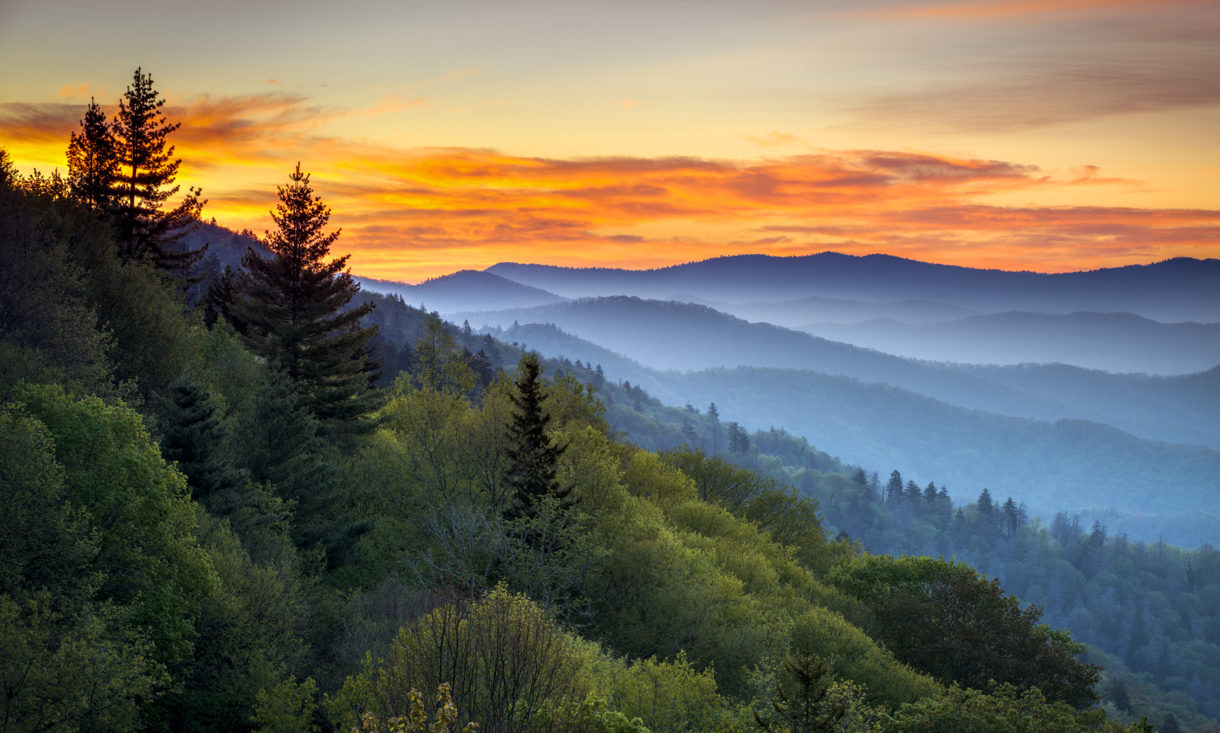 Tennessee: Record heat hits the state, forest fire in the Great Smoky Mountains spreads